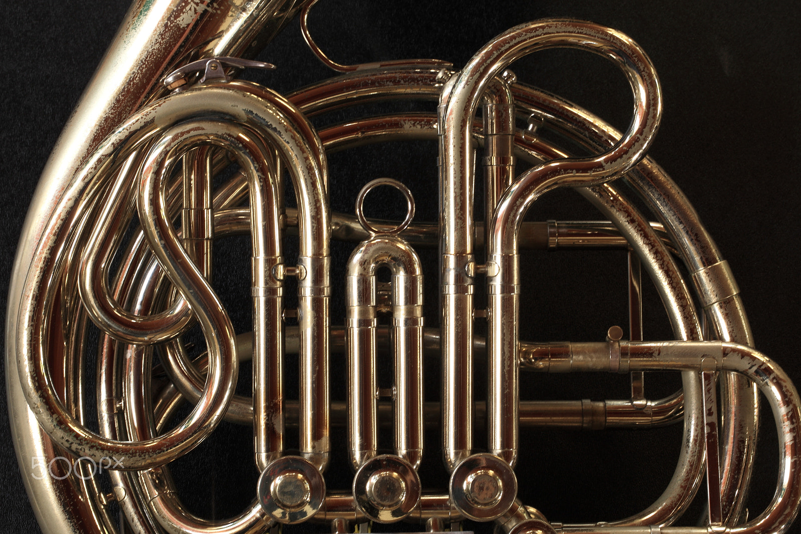 Canon EF 100mm F2.8L Macro IS USM sample photo. Horn photography