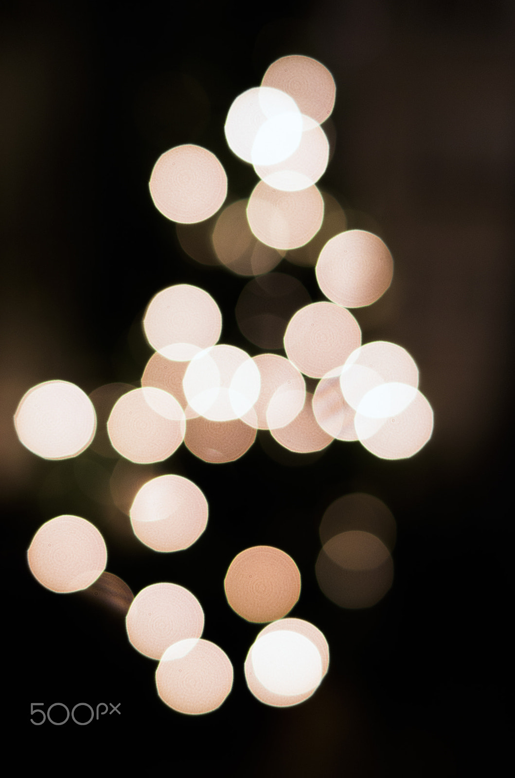 Pentax smc FA 31mm F1.8 AL Limited sample photo. Christmas photography