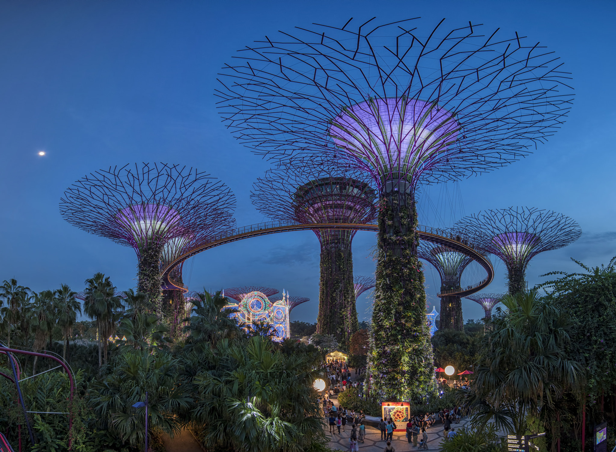 Sony a7R II + Canon EF 14mm F2.8L II USM sample photo. Christmas at gardens by the bay, singapore photography