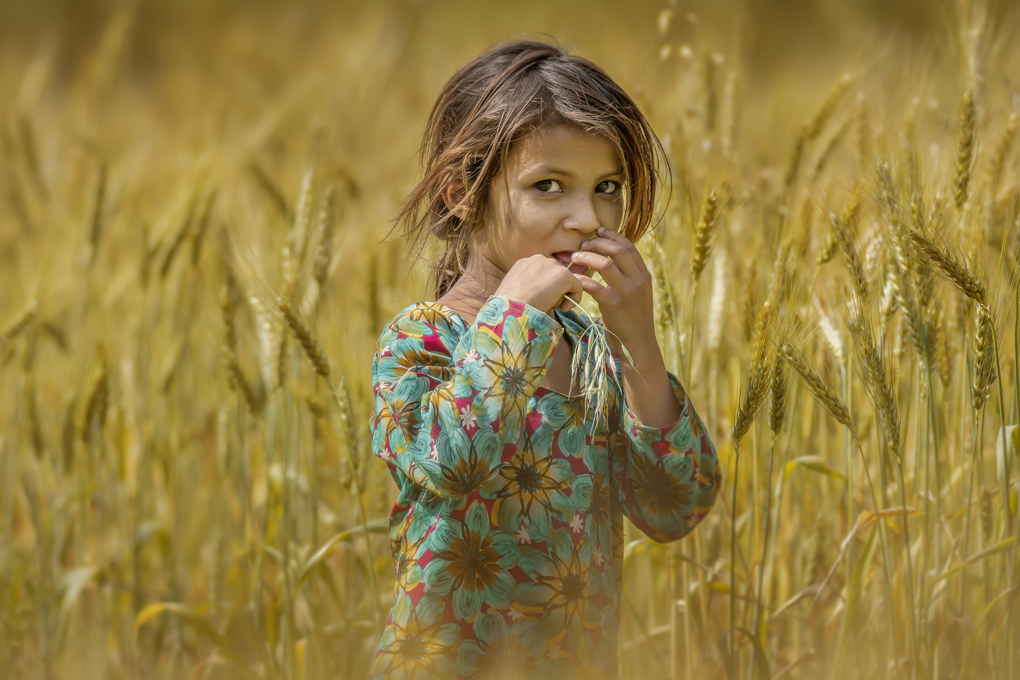 Canon EOS 60D + Canon EF 400mm F5.6L USM sample photo. The farmer's daughter. photography