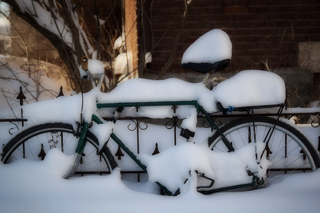 Canon EOS 500D (EOS Rebel T1i / EOS Kiss X3) sample photo. Snowed in photography