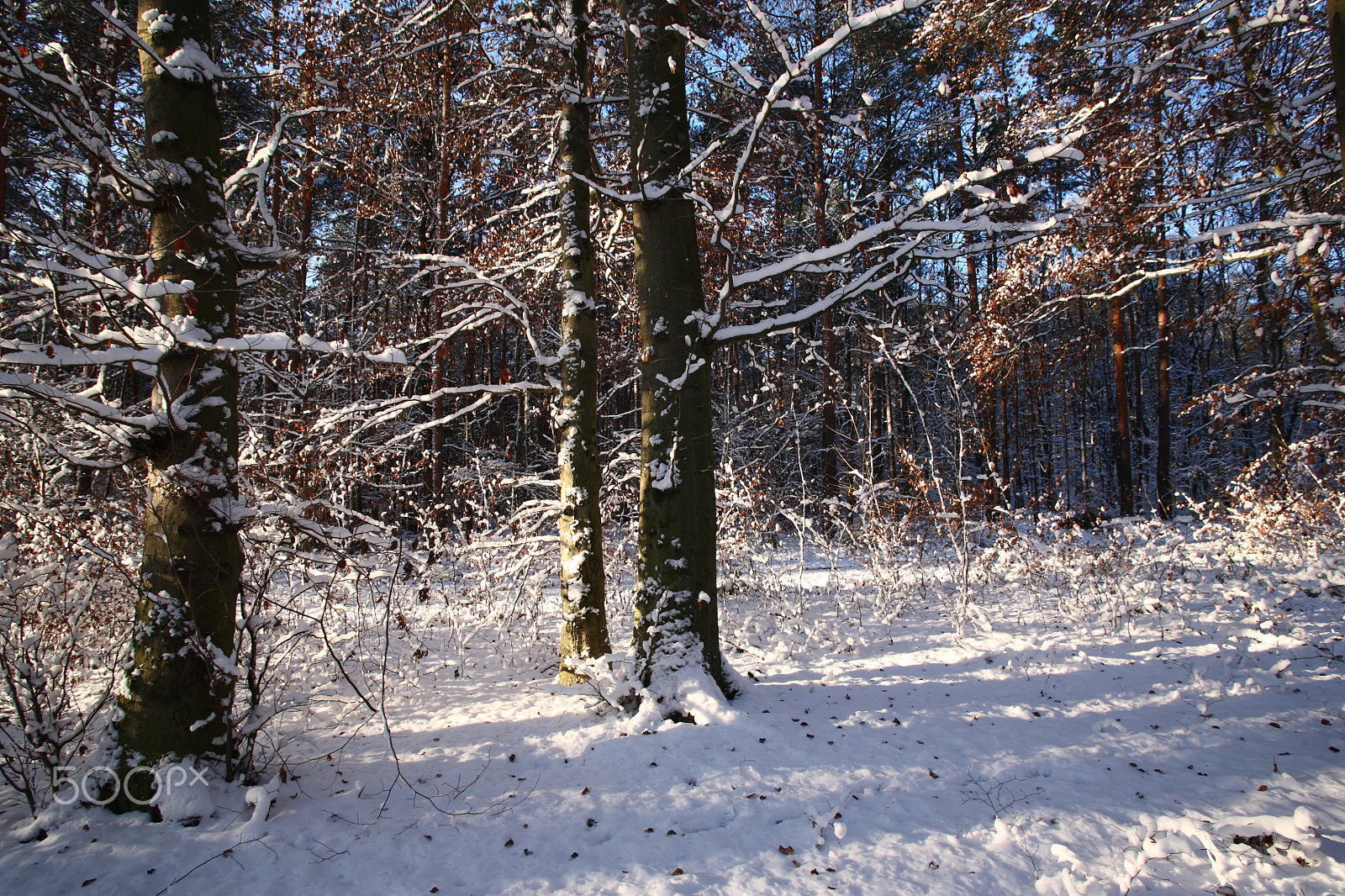 Canon EF 20-35mm F3.5-4.5 USM sample photo. Shadow photography