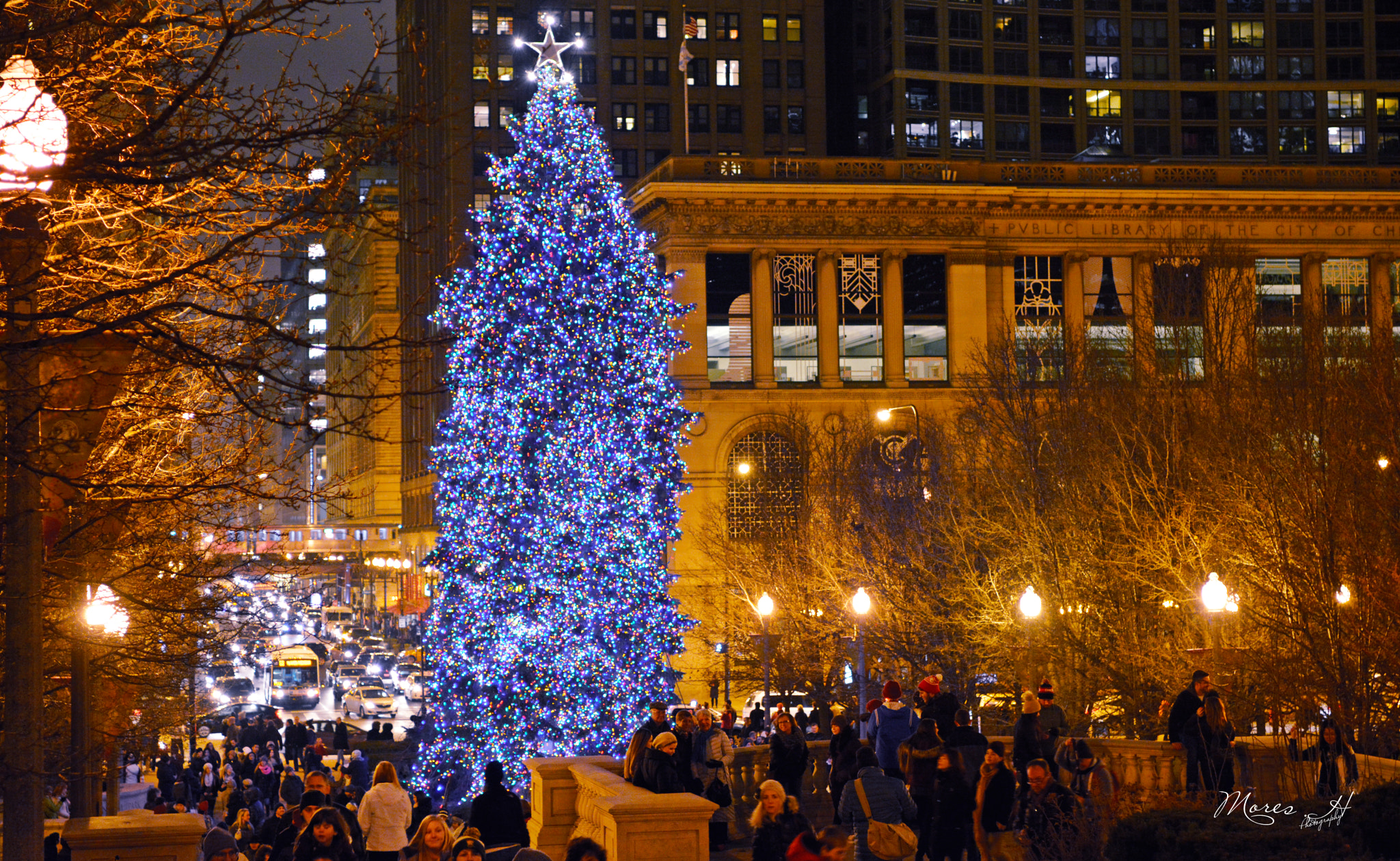 Nikon AF-S Nikkor 24-70mm F2.8E ED VR sample photo. Christmas tree photography