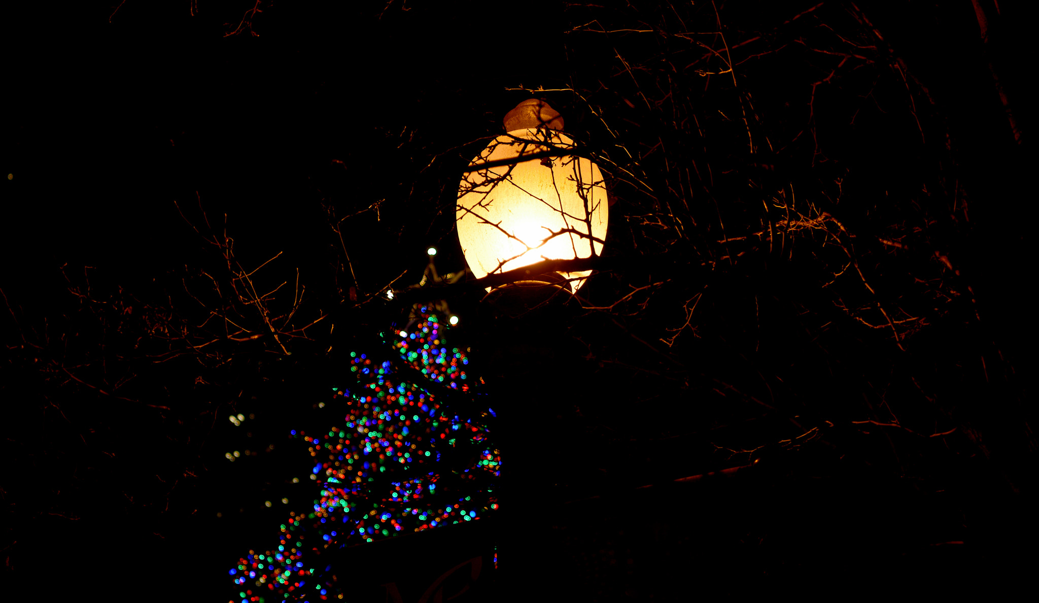 Nikon AF-S Nikkor 24-70mm F2.8E ED VR sample photo. Downtown chicago photography
