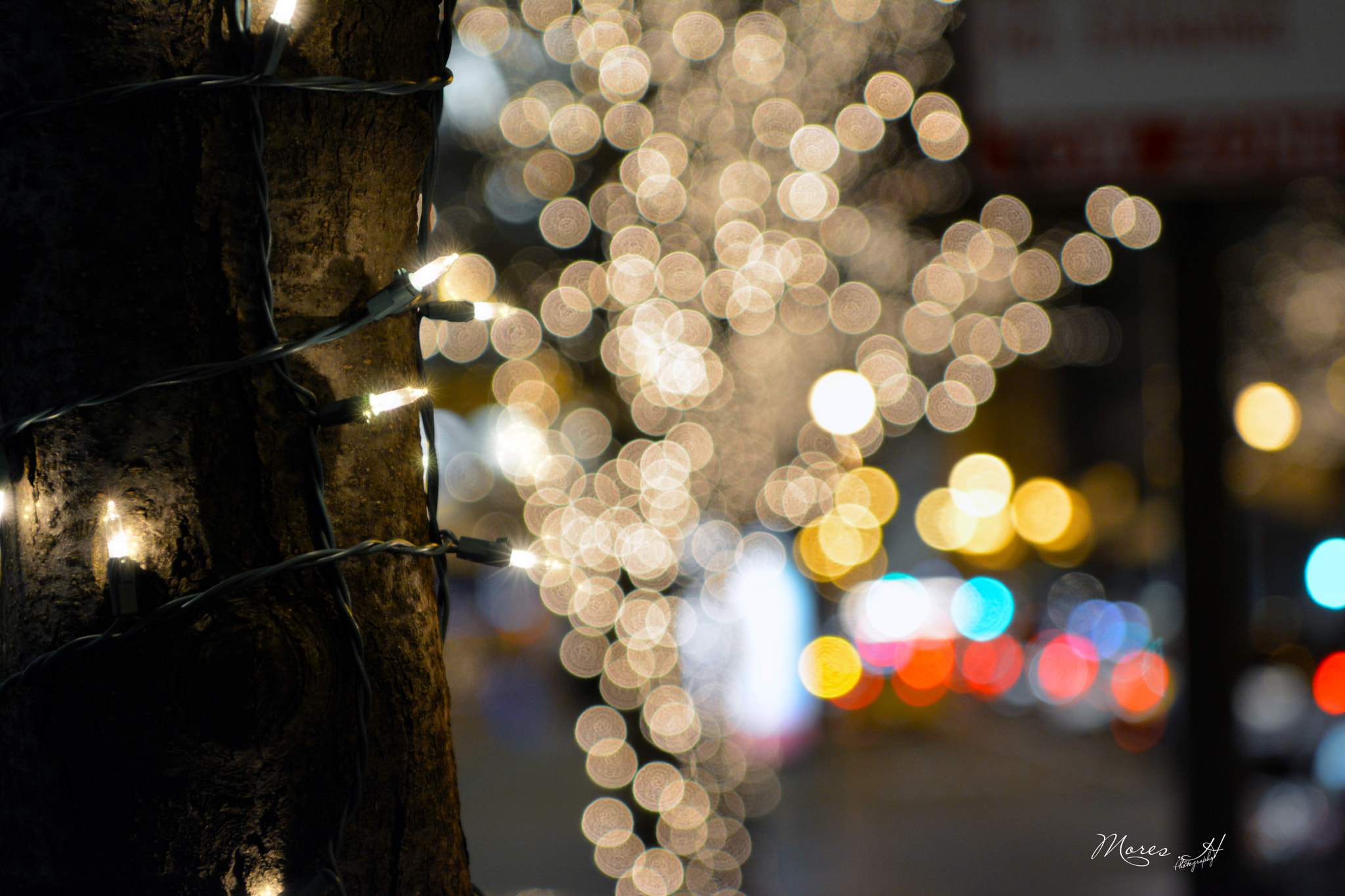 Nikon AF-S Nikkor 24-70mm F2.8E ED VR sample photo. New year photography