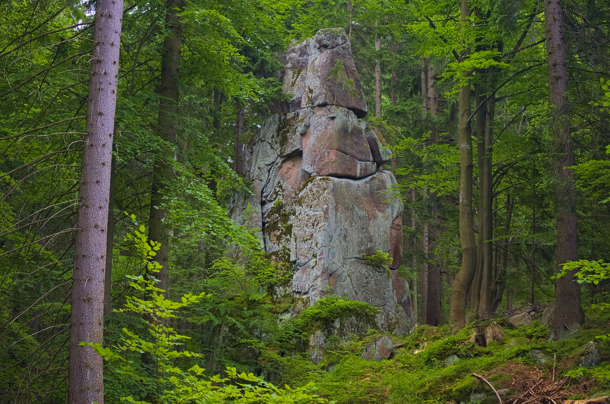 Pentax K-5 + Pentax smc DA 40mm F2.8 Limited sample photo. Stone in the forest photography