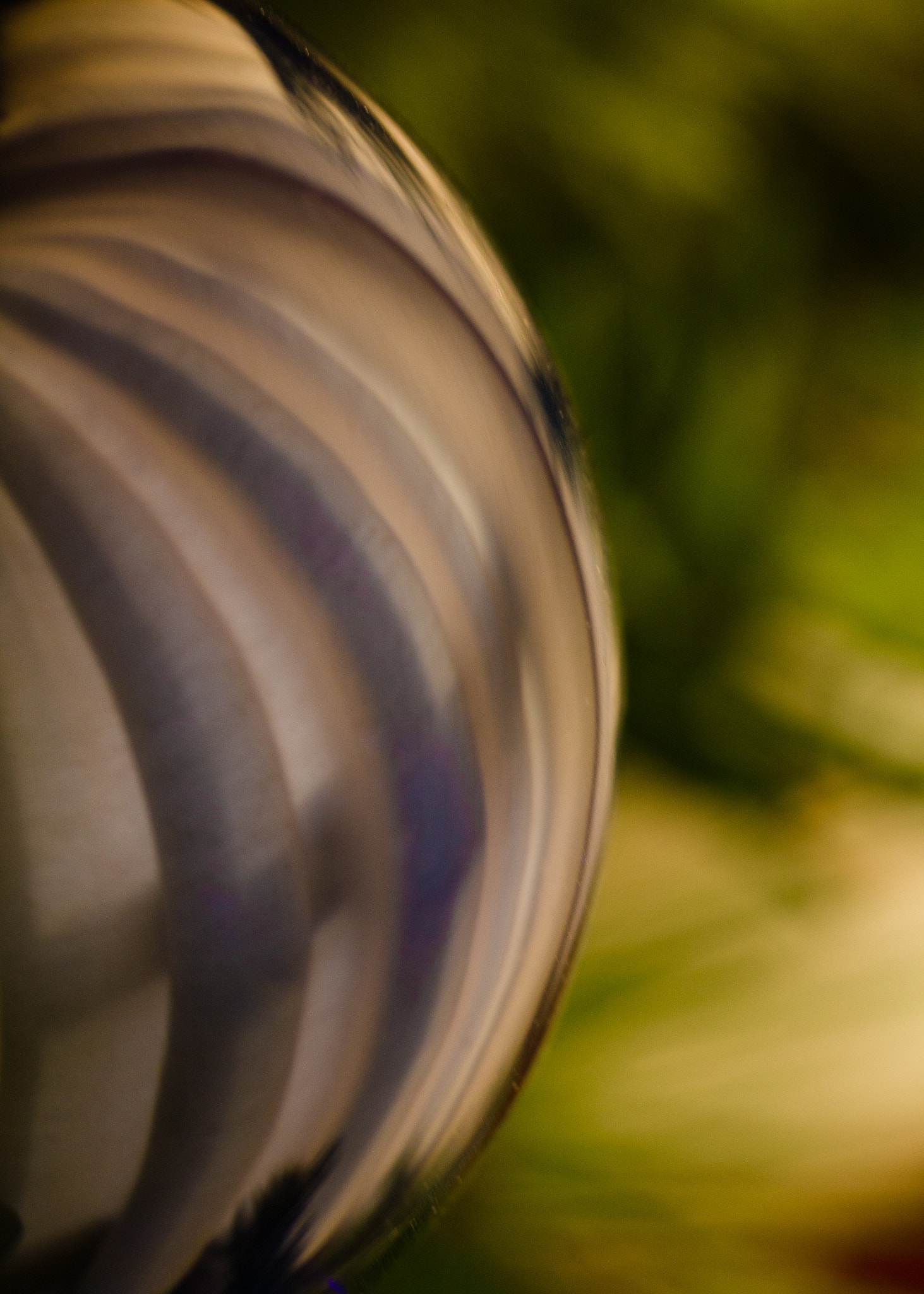 Canon EF-S 60mm F2.8 Macro USM sample photo. Morning reflections on christmas day photography