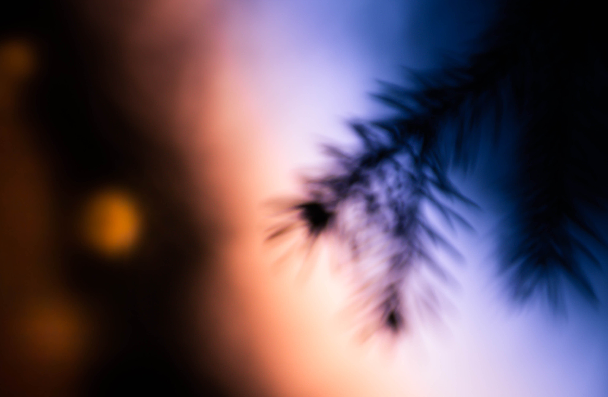 Canon EF 75-300mm F4.0-5.6 IS USM sample photo. Abstraction photography