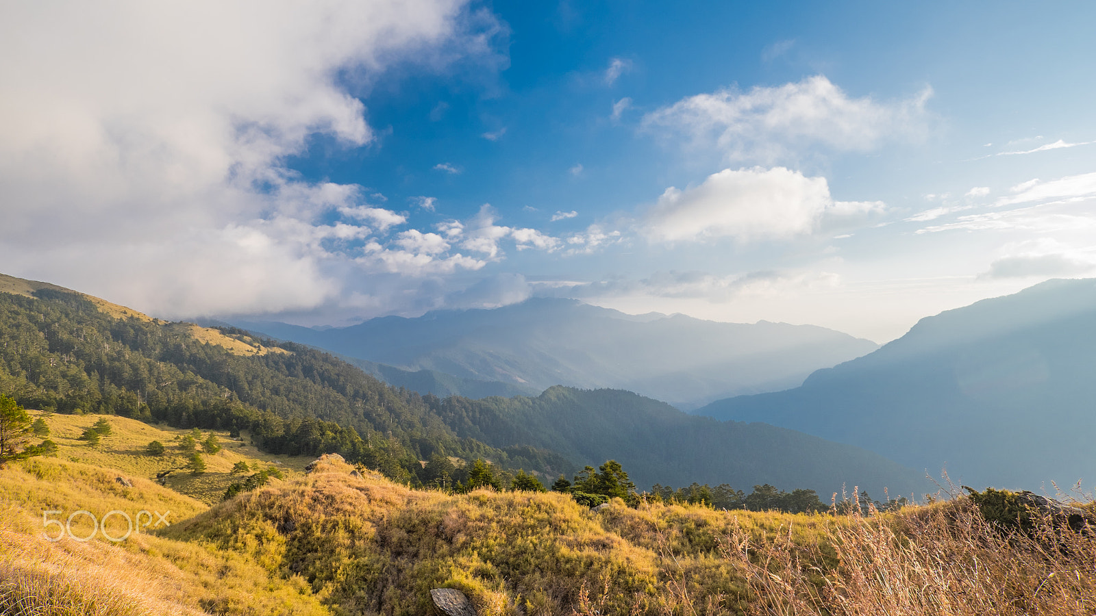 ZEISS Touit 12mm F2.8 sample photo. Taiwan photography