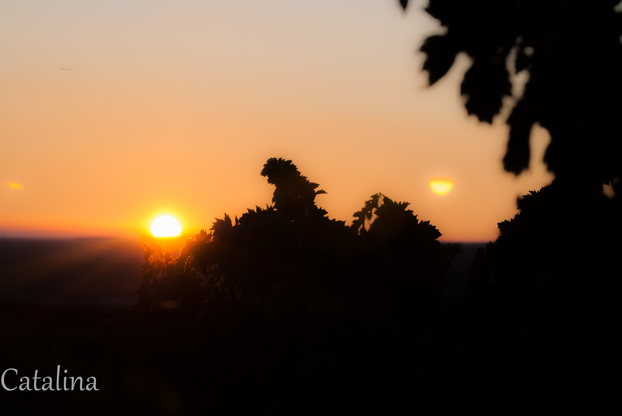 Sigma 105mm F2.8 EX DG OS HSM sample photo. Amanecer photography