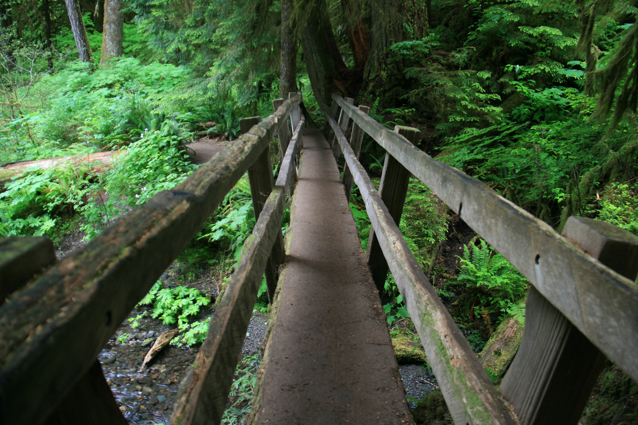 Canon EOS 400D (EOS Digital Rebel XTi / EOS Kiss Digital X) sample photo. Troll bridge photography