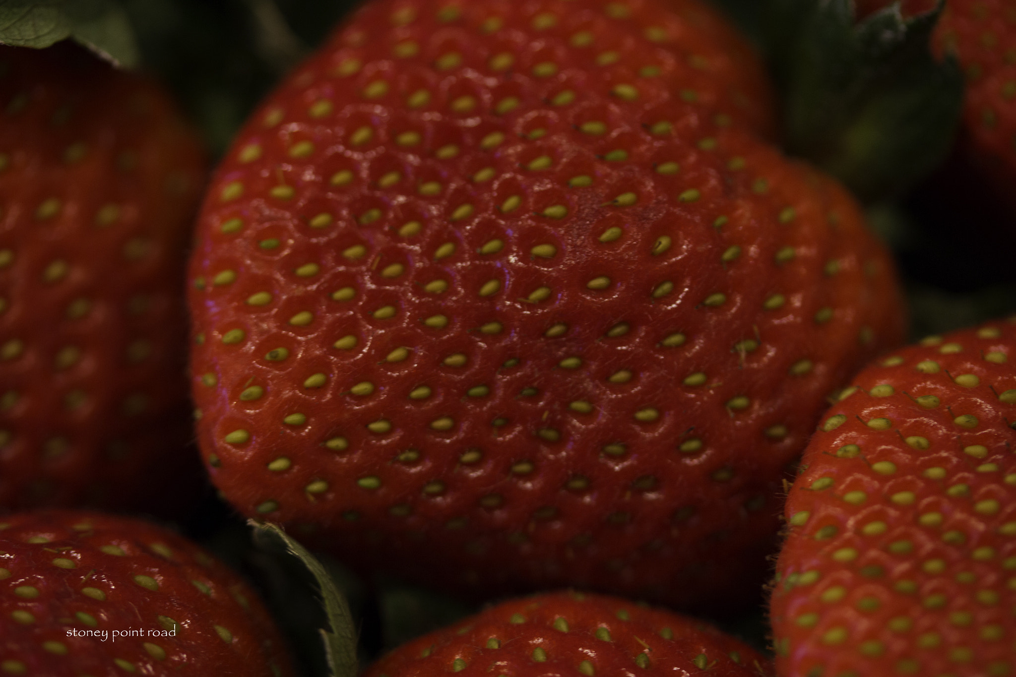 Canon EF-S 60mm F2.8 Macro USM sample photo. Strawberries photography