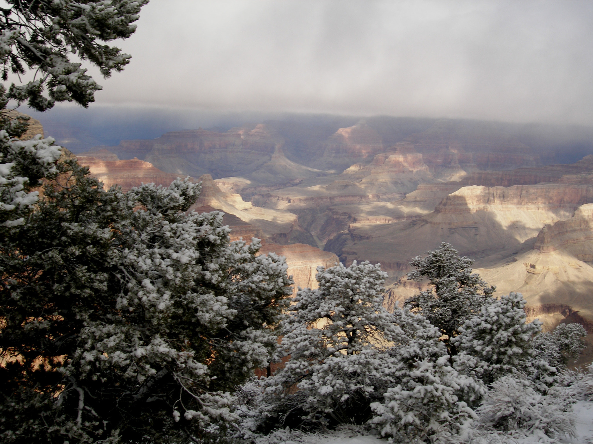 Olympus C7070WZ sample photo. Along the south rim. photography