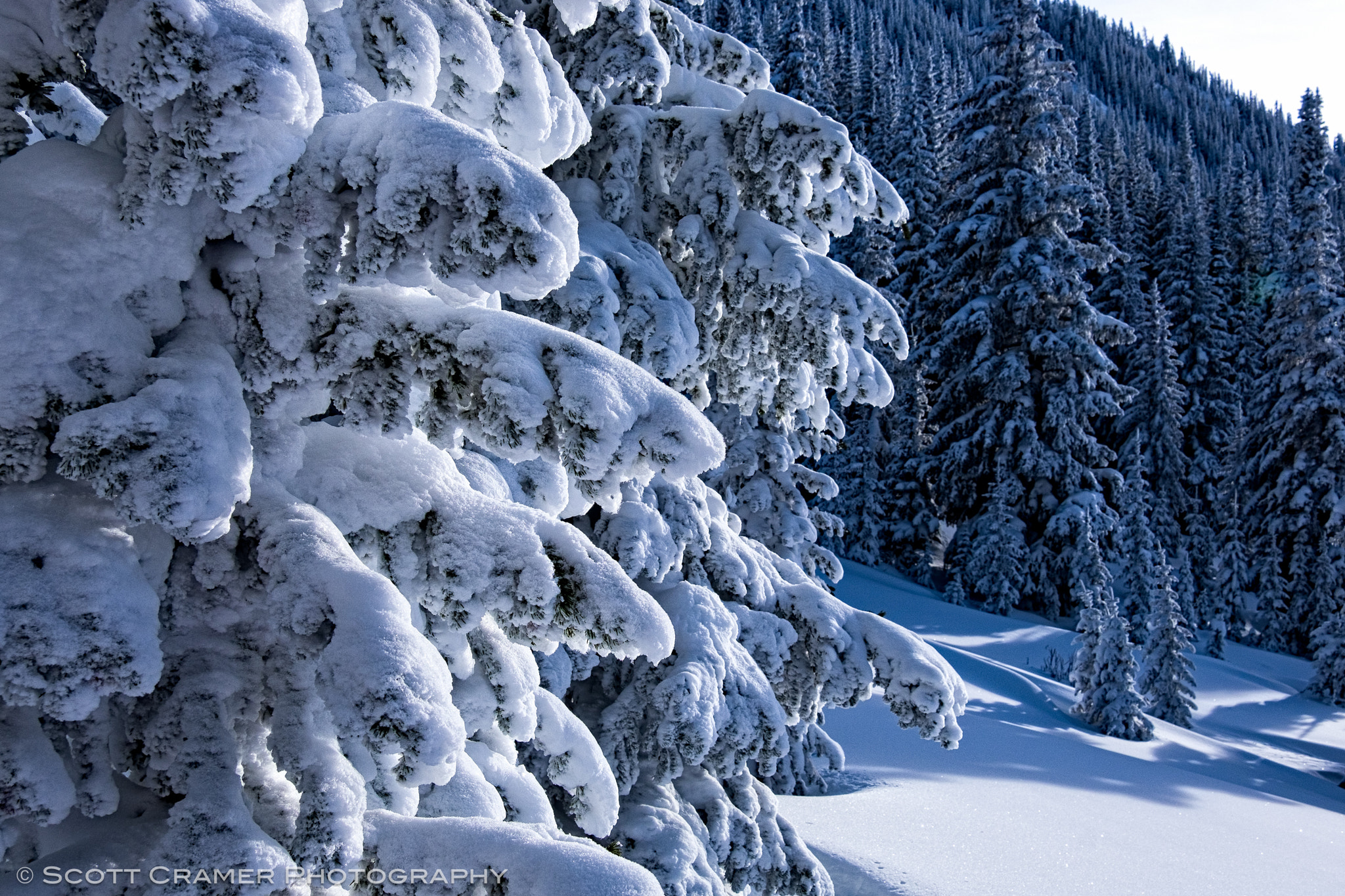 Fujifilm X-E2 + Fujifilm XF 18-135mm F3.5-5.6 R LM OIS WR sample photo. Winter landscape with frosted trees photography