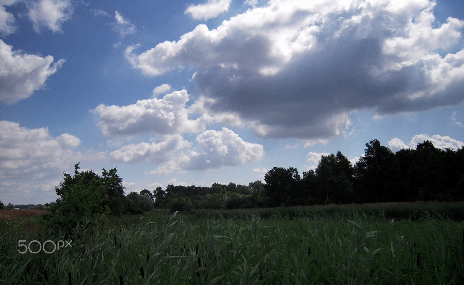 Nikon Coolpix S610c sample photo. Clouds photography