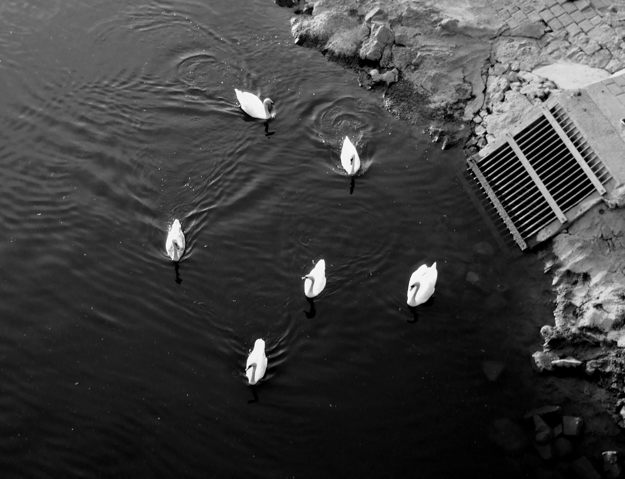 Fujifilm FinePix F31fd sample photo. Floating photography