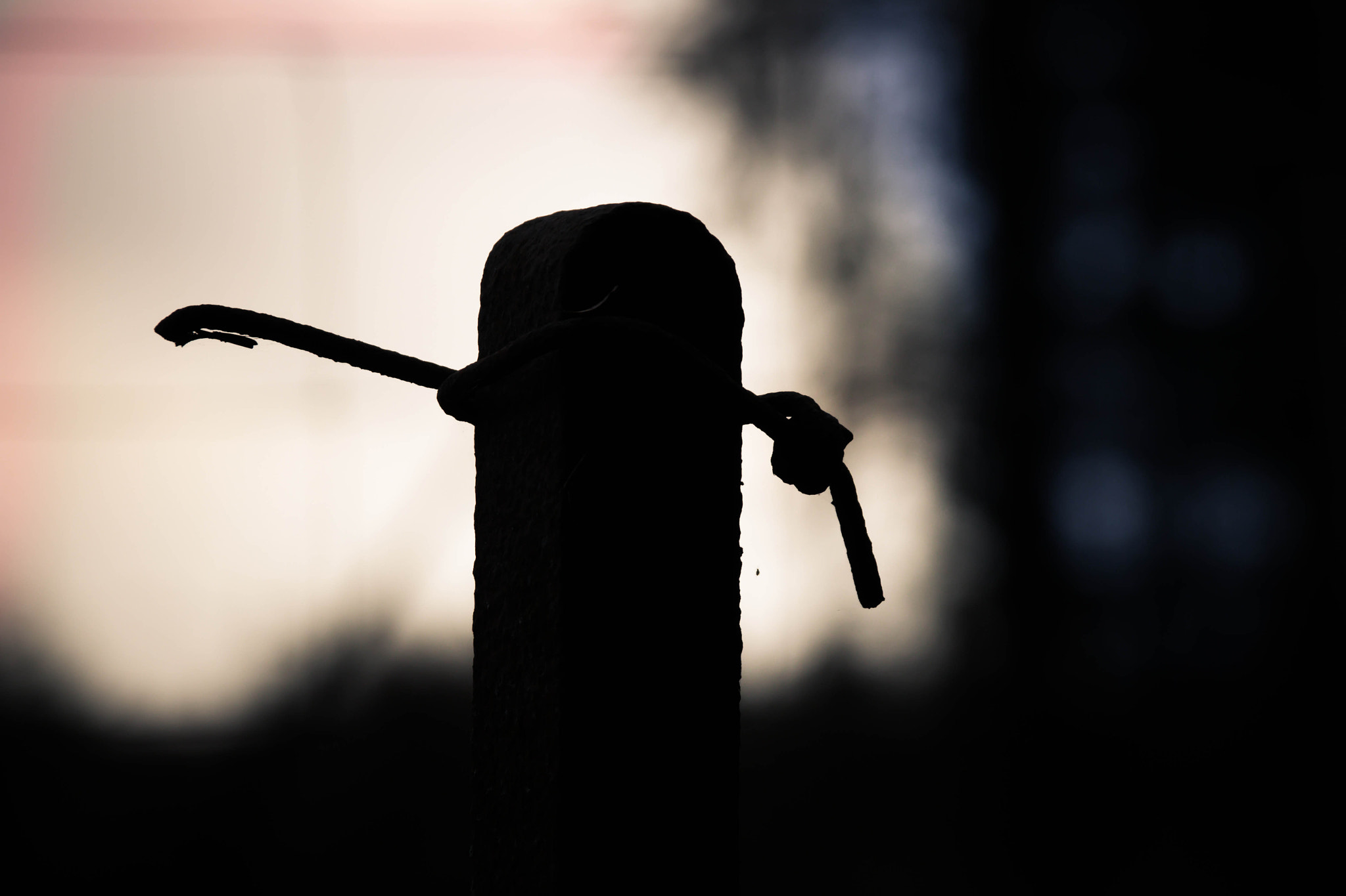 Canon EF 75-300mm F4.0-5.6 IS USM sample photo. Stumped photography