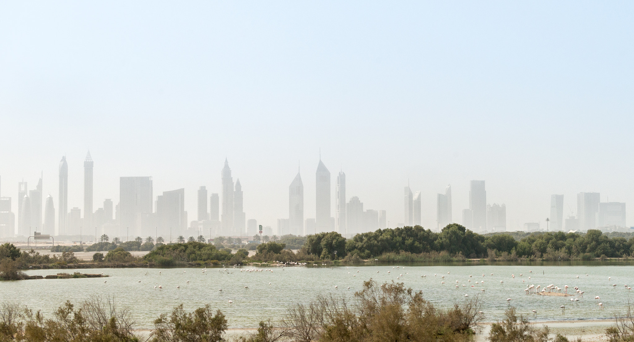 Sony 70-300mm F4.5-5.6 G SSM sample photo. Dubai skyscapers and pink flamingo photography
