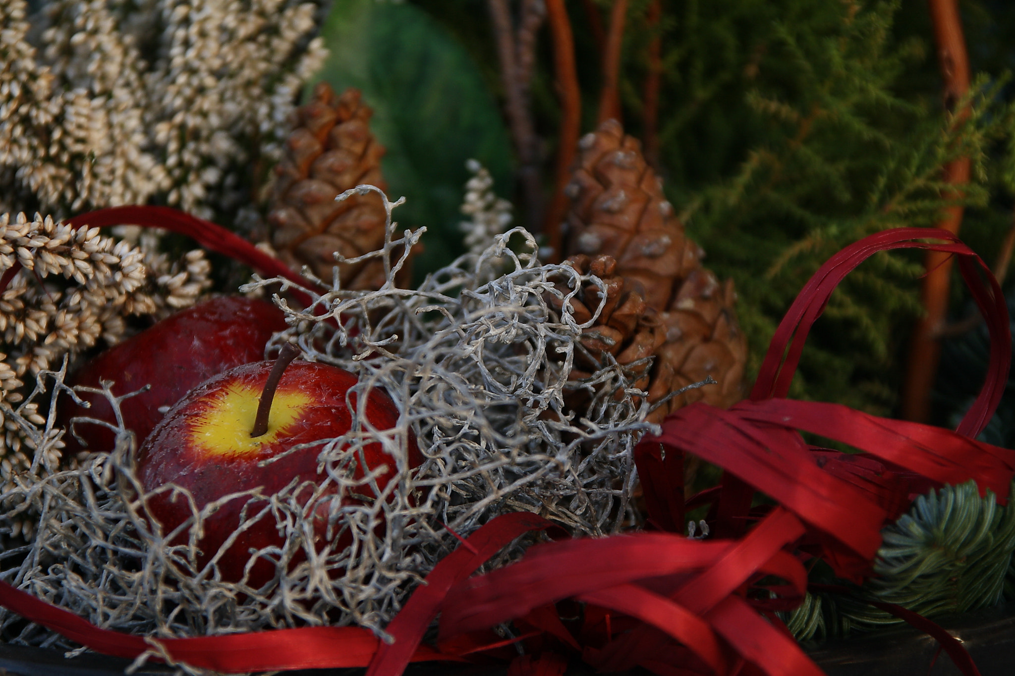Sigma 18-125mm F3.8-5.6 DC OS HSM sample photo. Merry christmas! happy new year! photography