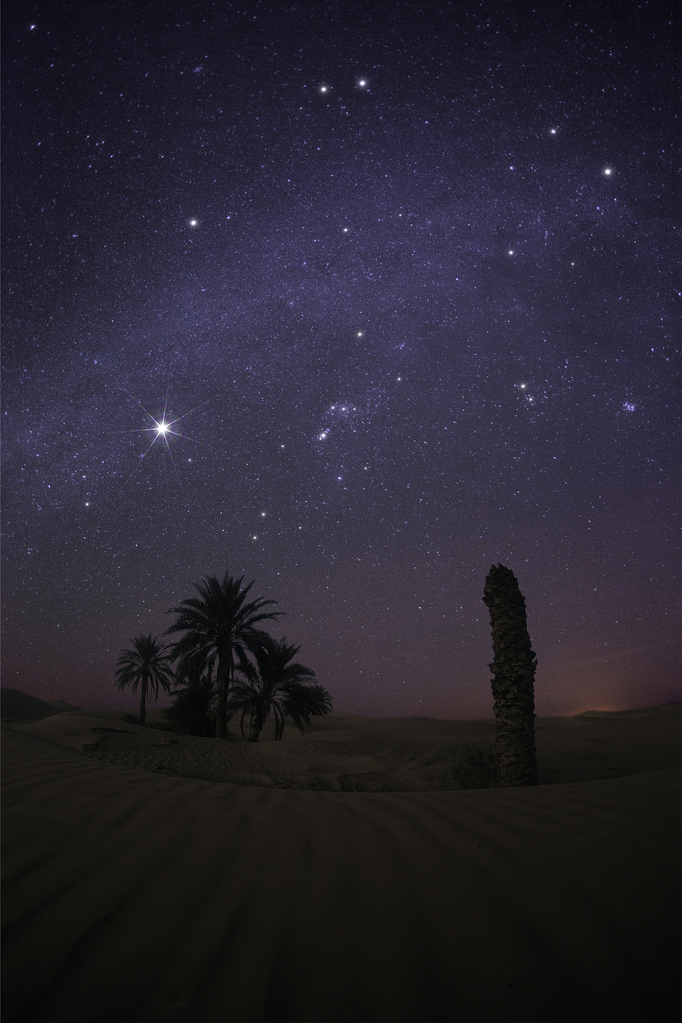 Canon EOS 5D Mark II + Sigma 15mm f/2.8 EX Fisheye sample photo. Beauty of desert night sky photography