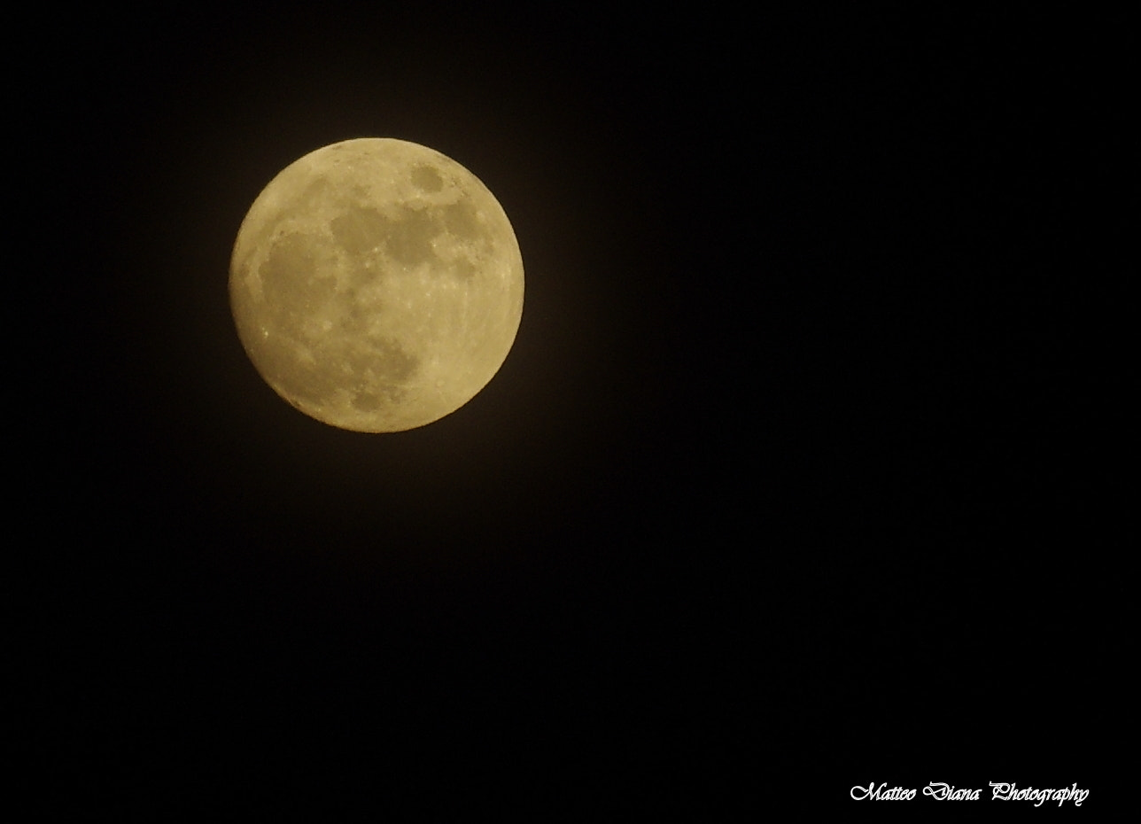 smc PENTAX-DA L 50-200mm F4-5.6 ED sample photo. _igp8821.jpg photography