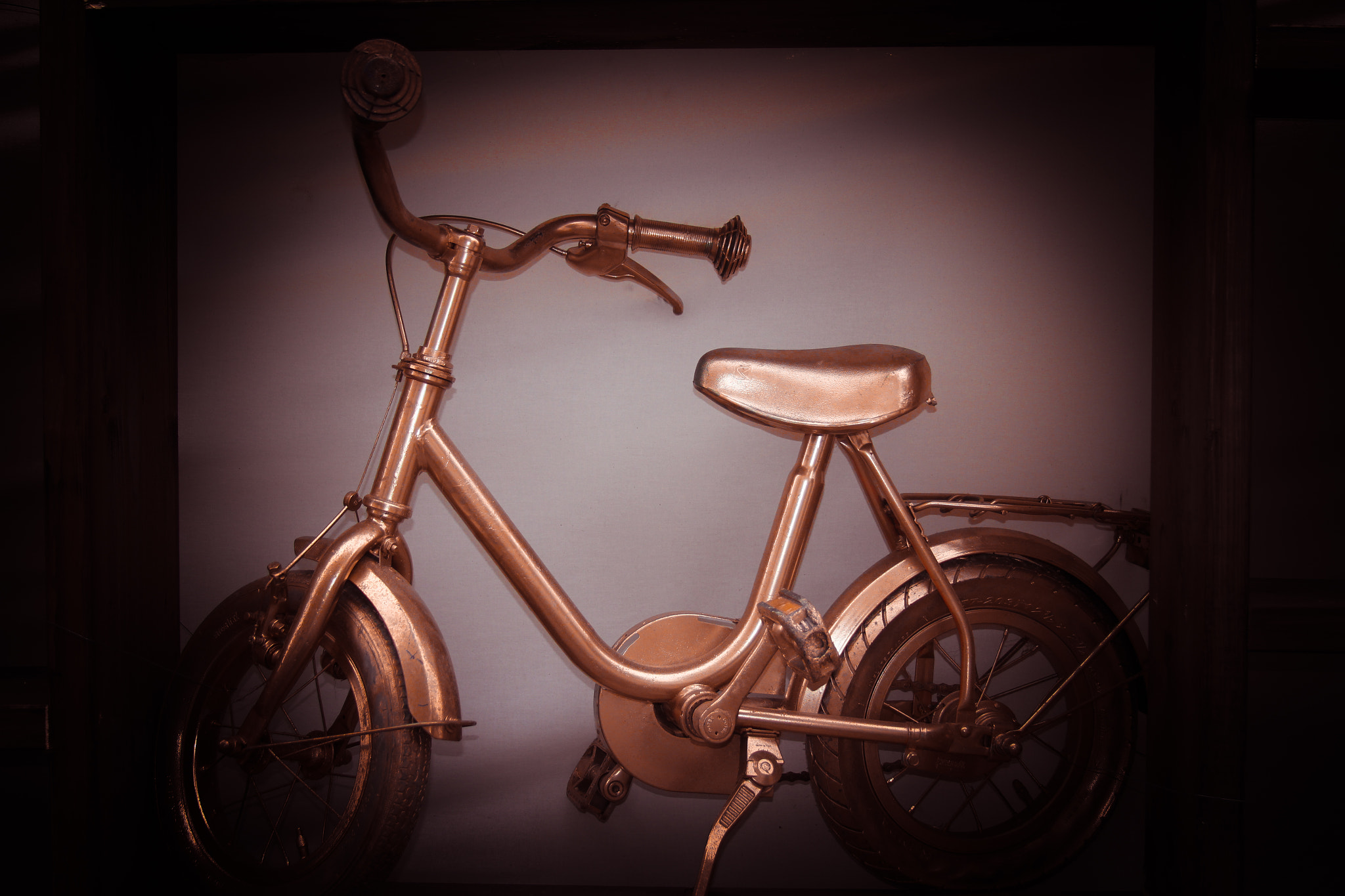 Canon EF 28-135mm F3.5-5.6 IS USM sample photo. Golden bike photography