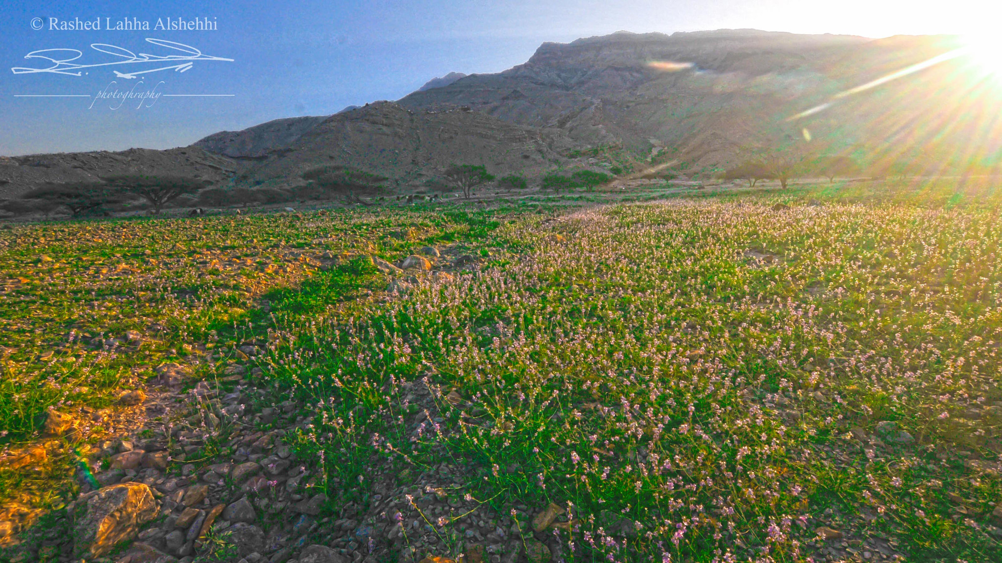 Nikon D300 + Sigma 10-20mm F3.5 EX DC HSM sample photo. My hometown photography