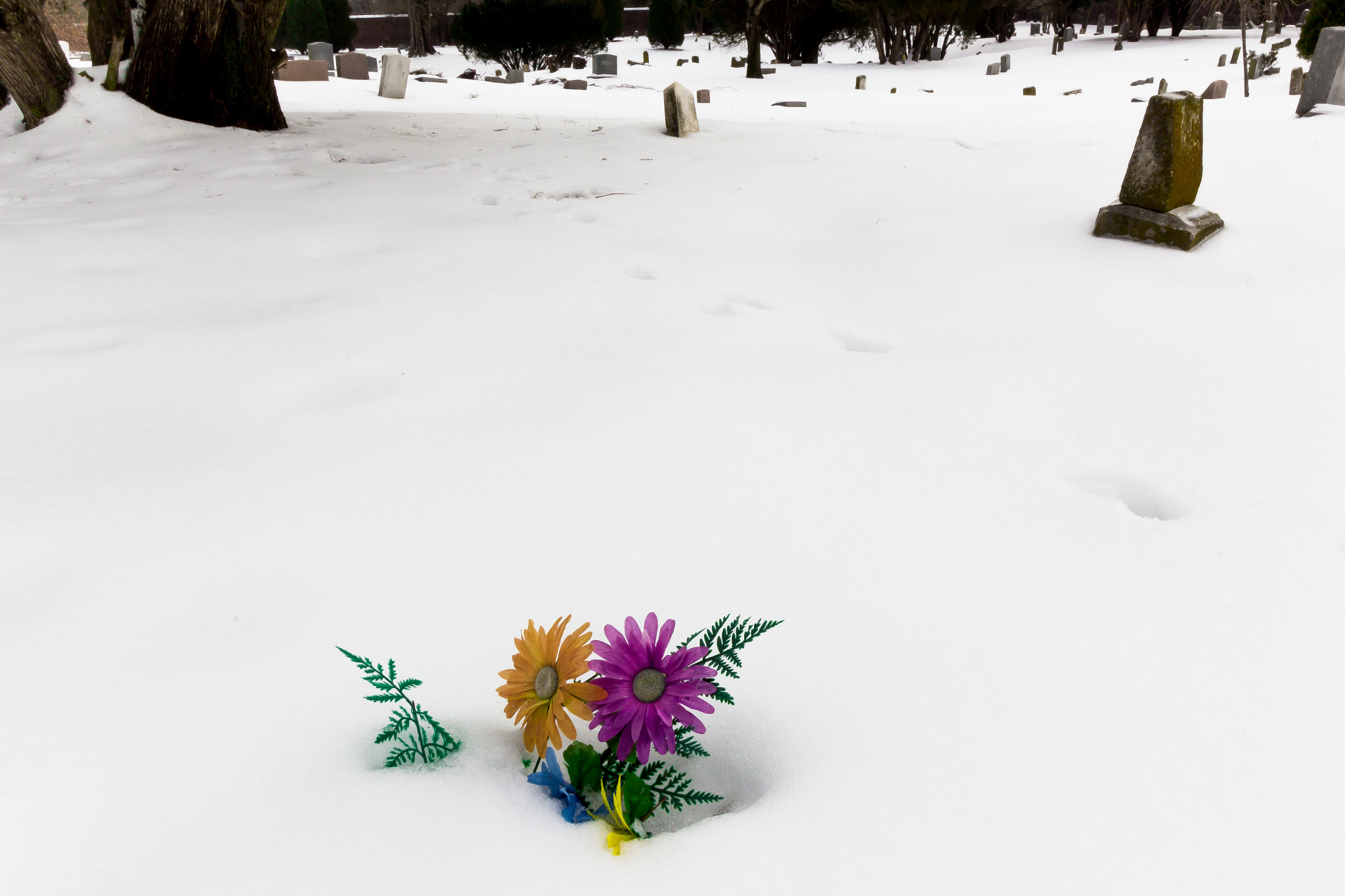 Canon EF-S 10-18mm F4.5–5.6 IS STM sample photo. Louisville cemetery i (de ) photography