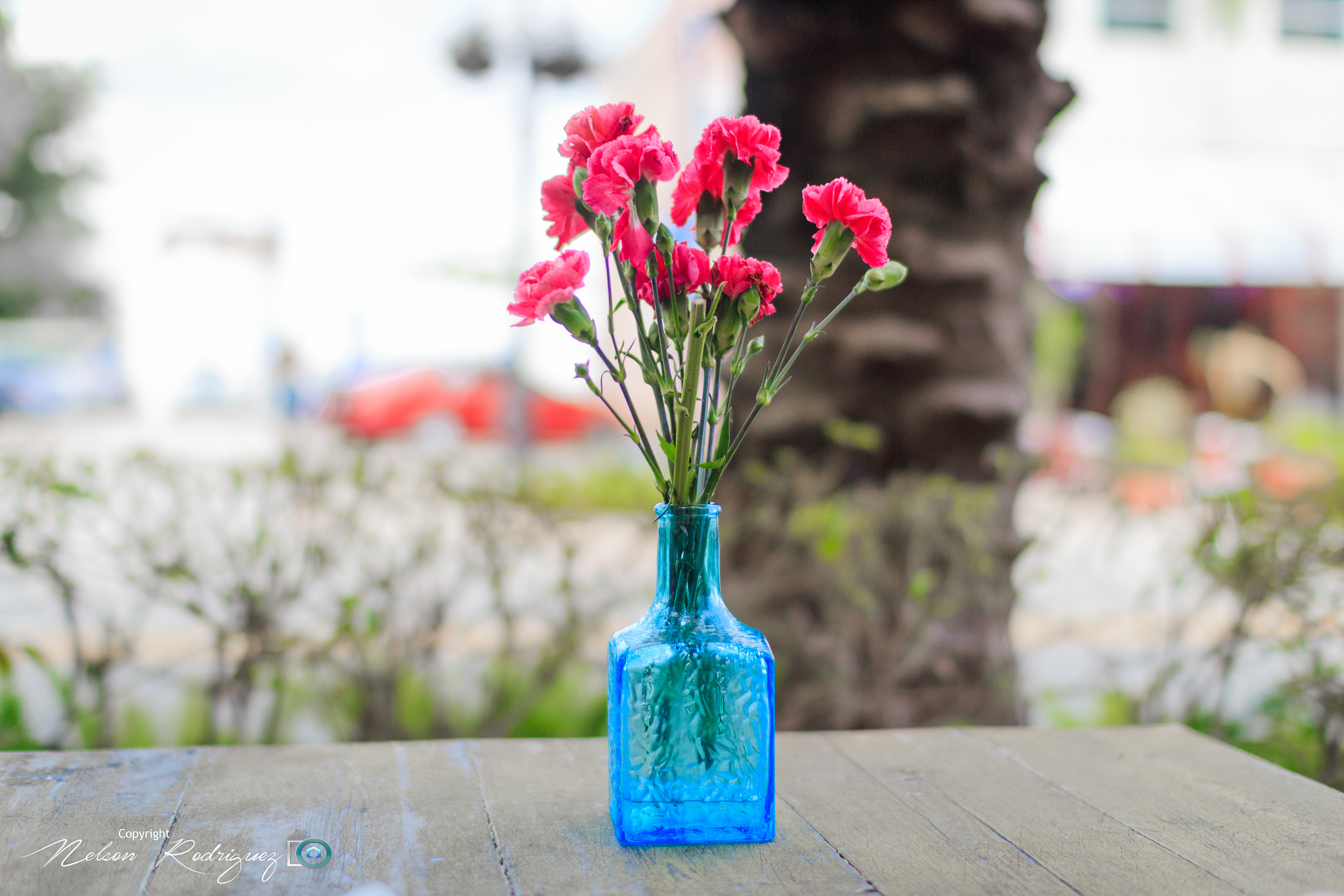 Sigma 30mm F1.4 EX DC HSM sample photo. Flowers photography