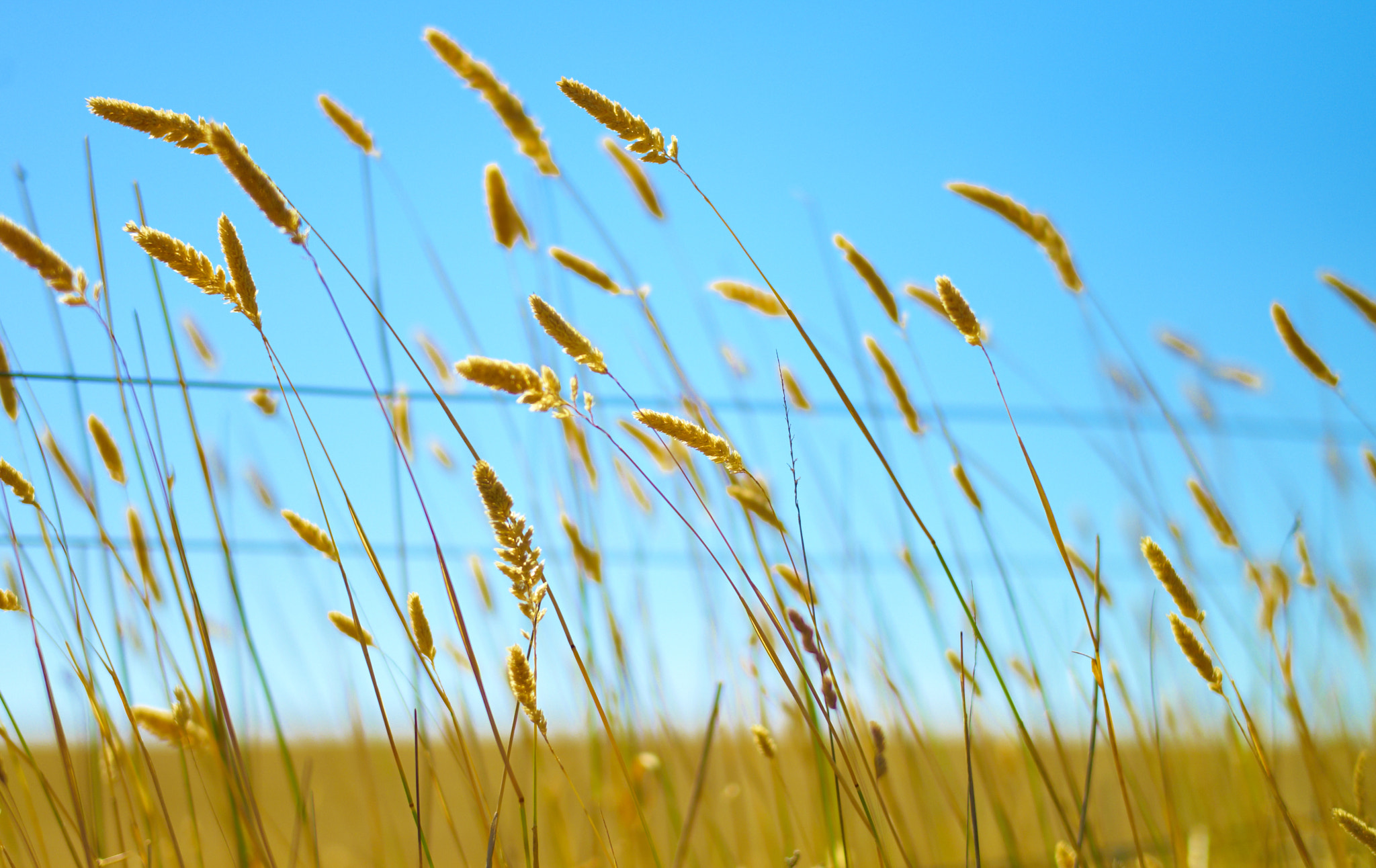 Leica M8 sample photo. Yellow+blue photography