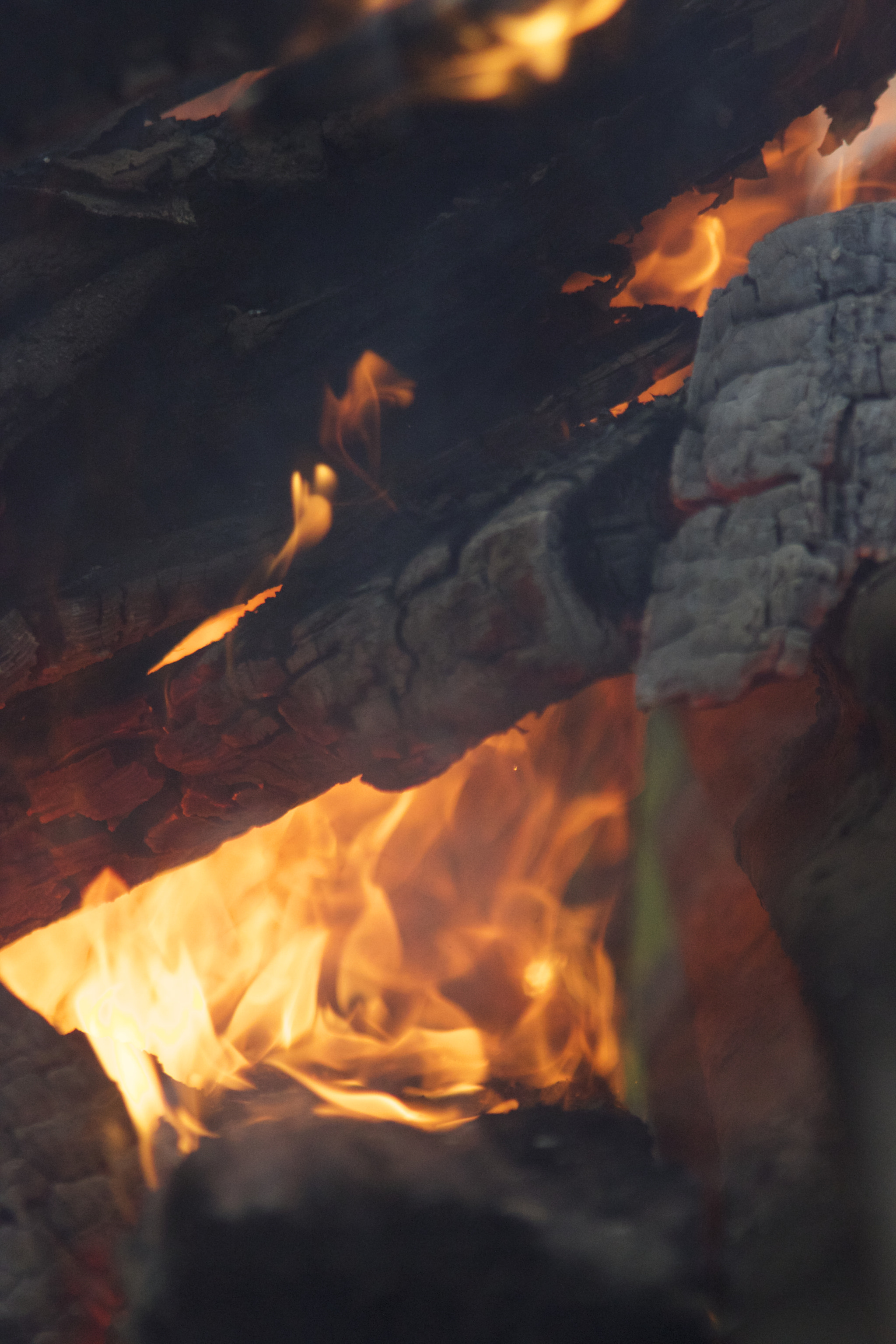 Canon EF 28-80mm f/2.8-4L sample photo. Burning wood photography