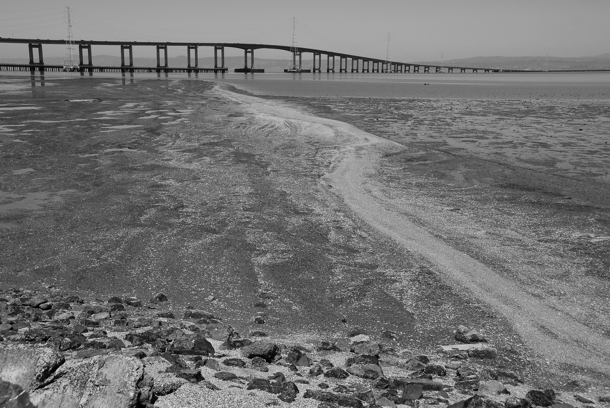 Nikon D200 sample photo. Photo photography