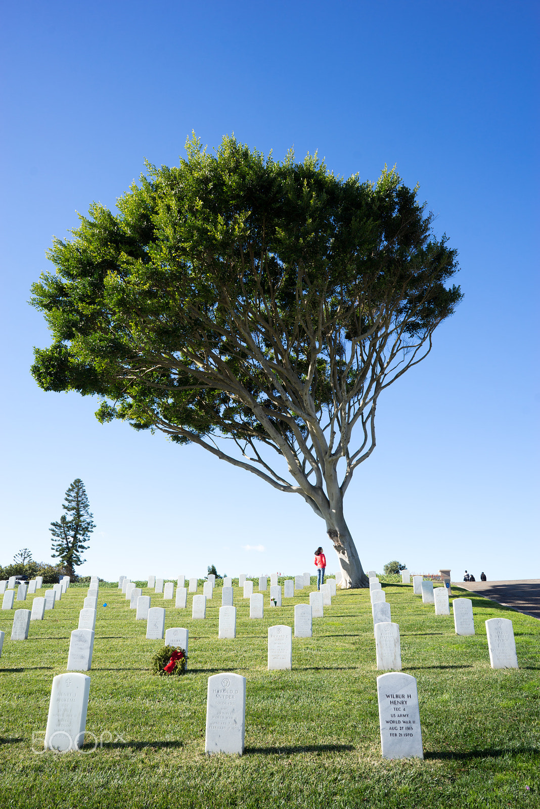 Sony a7R + ZEISS Batis 25mm F2 sample photo. The memorial photography