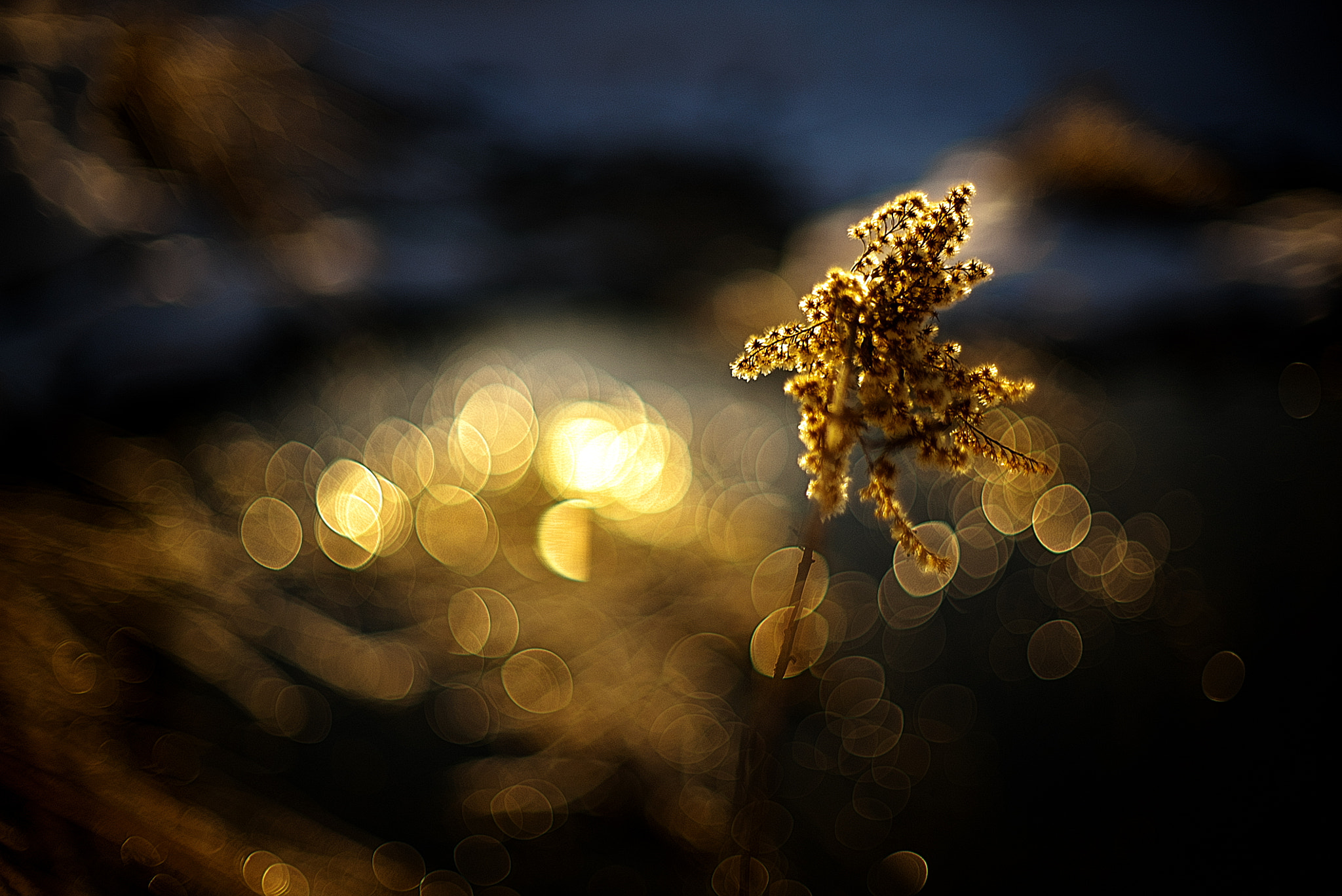 Sony a7S sample photo. Aloneness photography
