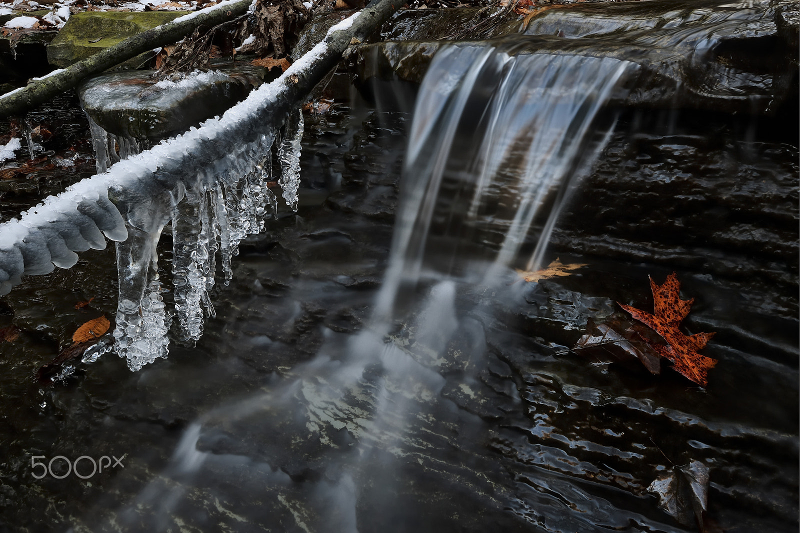 Nikon D3X sample photo. Chilly morning photography