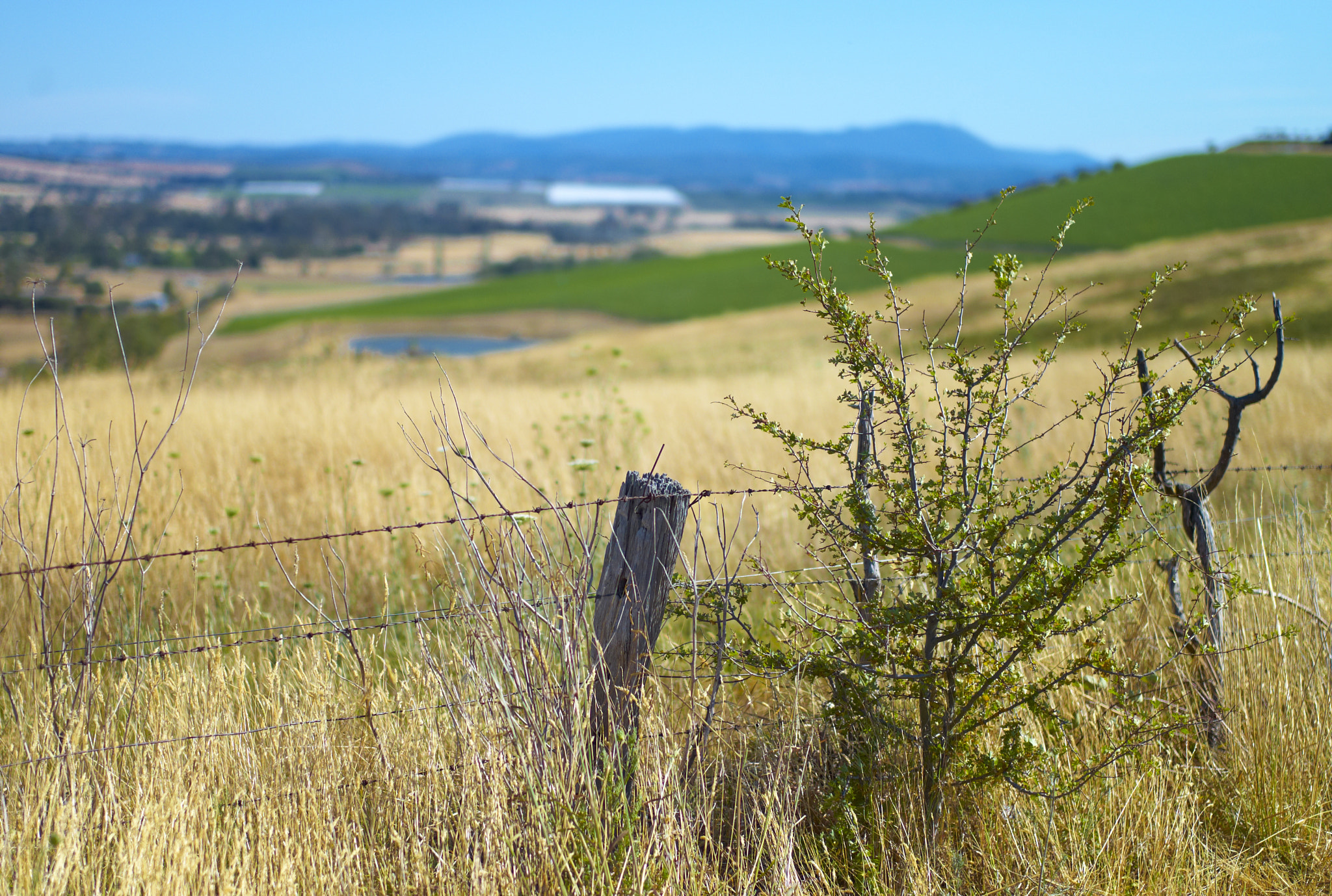 Leica M8 sample photo. * photography