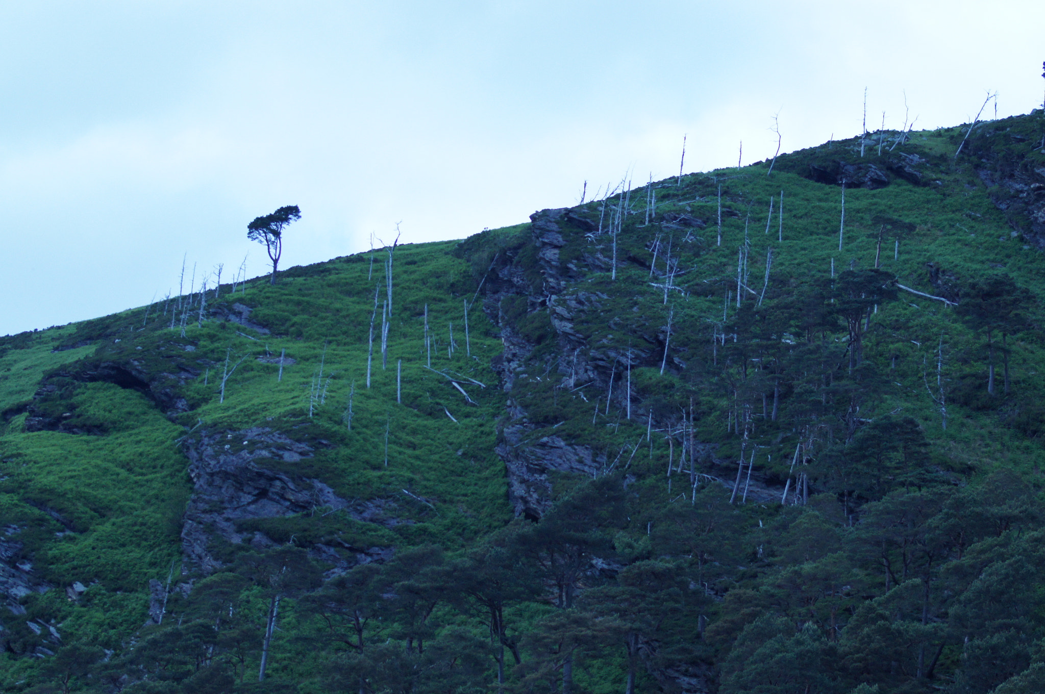 Sony SLT-A35 sample photo. Ireland photography