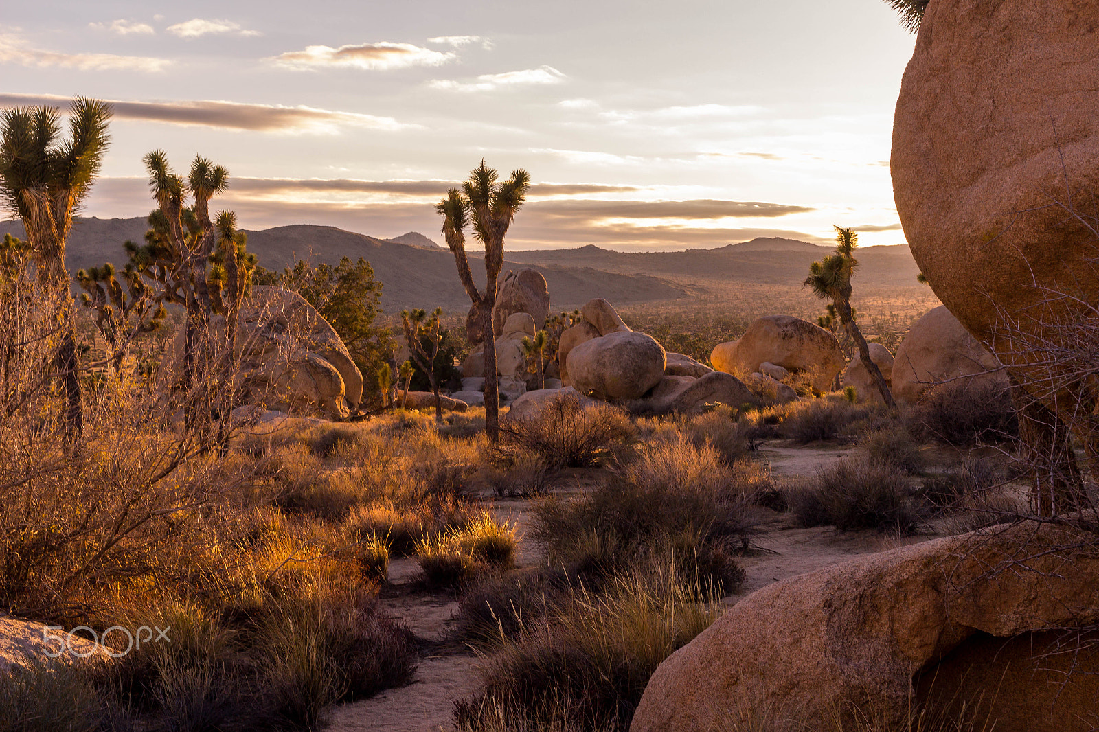 Canon EF 40mm F2.8 STM sample photo. Desert sunset photography