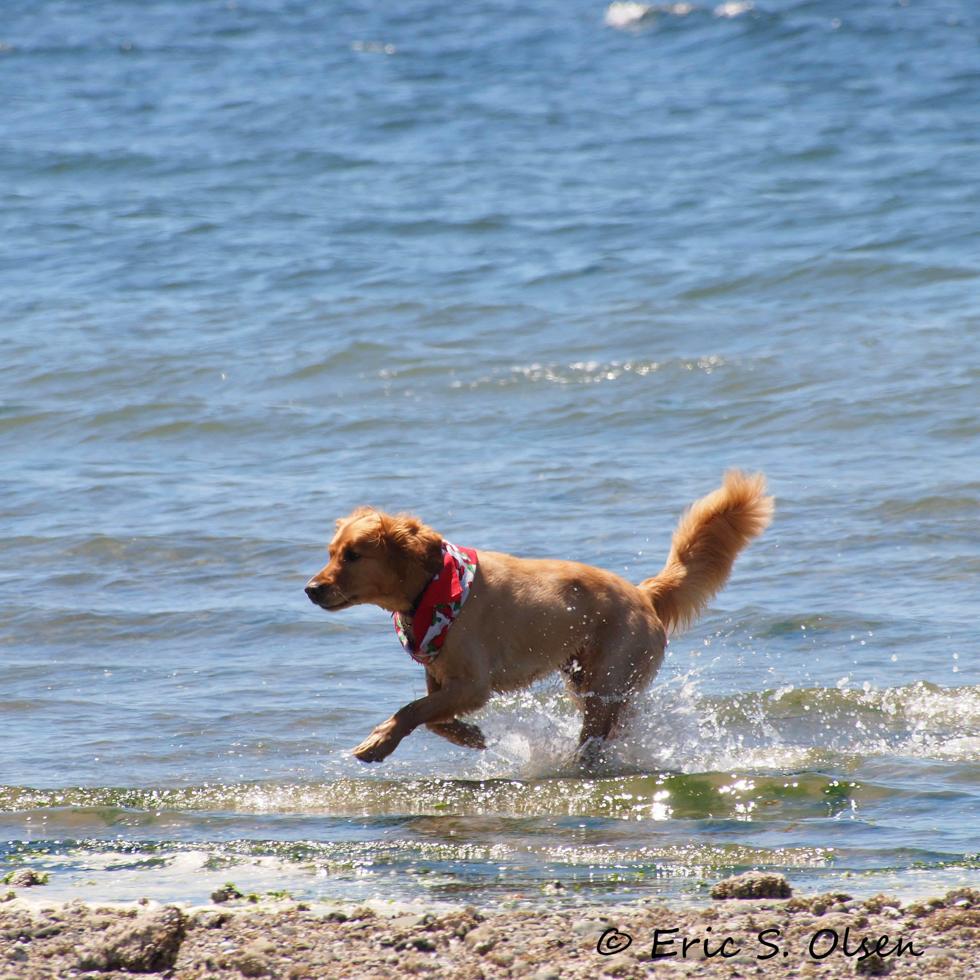 Olympus PEN E-P1 sample photo. Playtime photography
