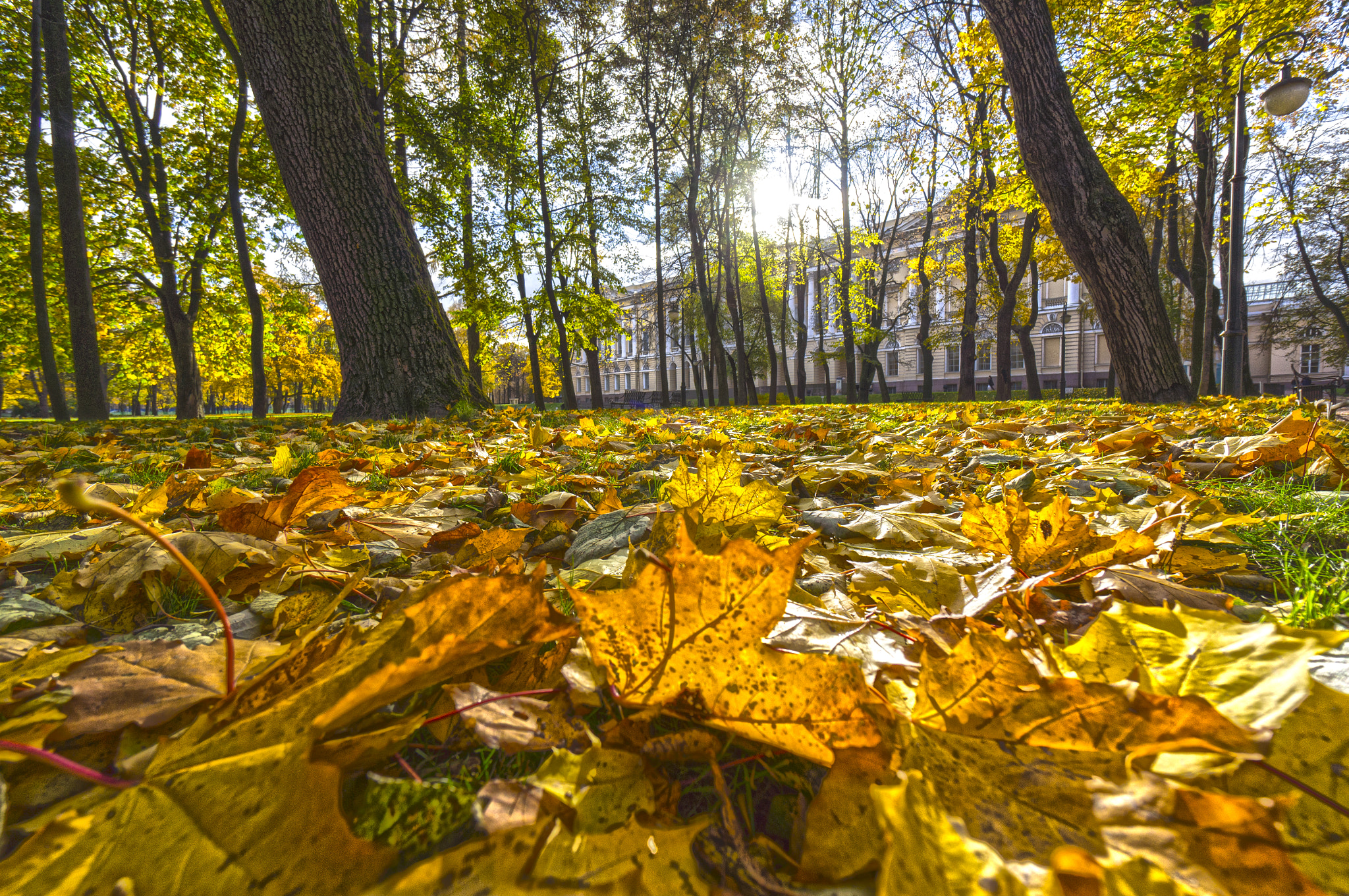 Sony Alpha NEX-5N + Sony E 10-18mm F4 OSS sample photo. Autumn in the park. photography