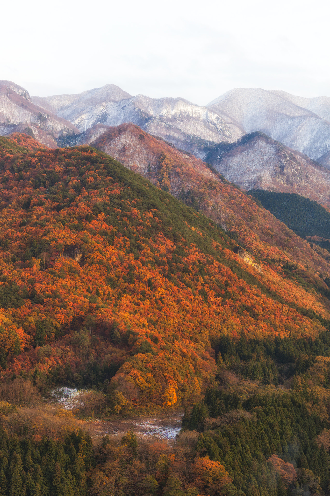 ZEISS Makro-Planar T* 100mm F2 sample photo. Yamadera town in late autumn photography