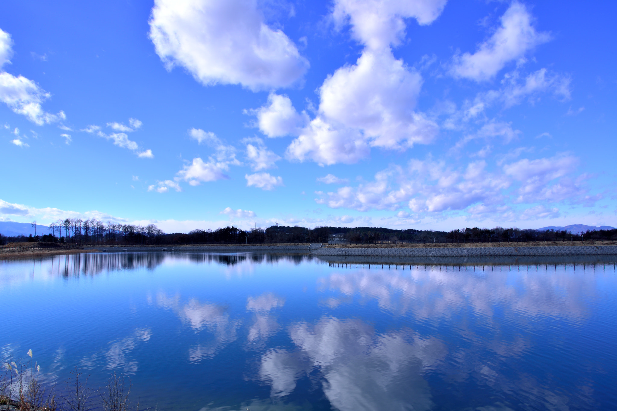 Nikon D600 + Sigma 24mm F1.8 EX DG Aspherical Macro sample photo. Winteｒ sky 20151226  mimaki oike photography