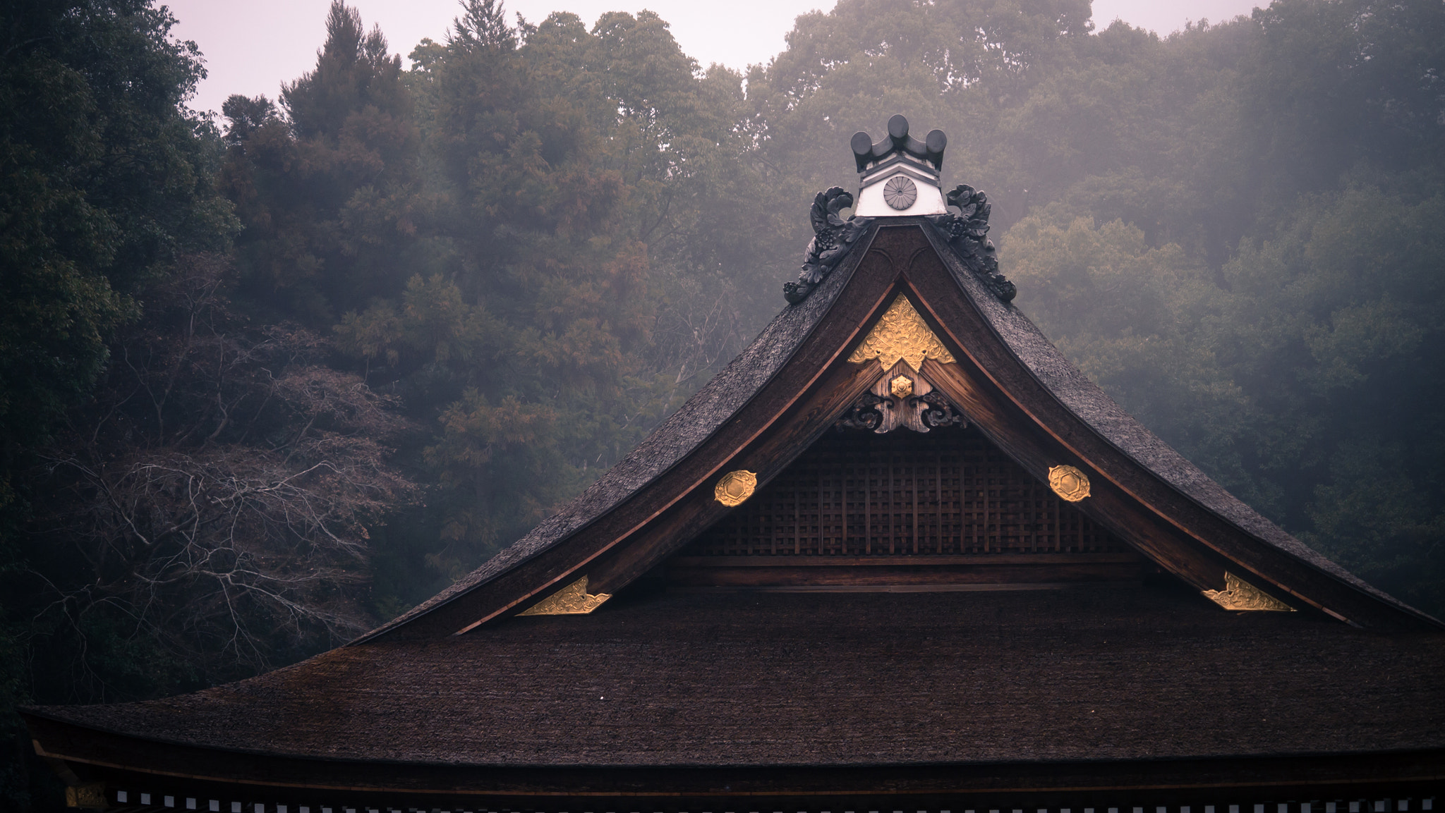 Panasonic Lumix DMC-GX1 sample photo. Snap on kyoto p1070921 photography