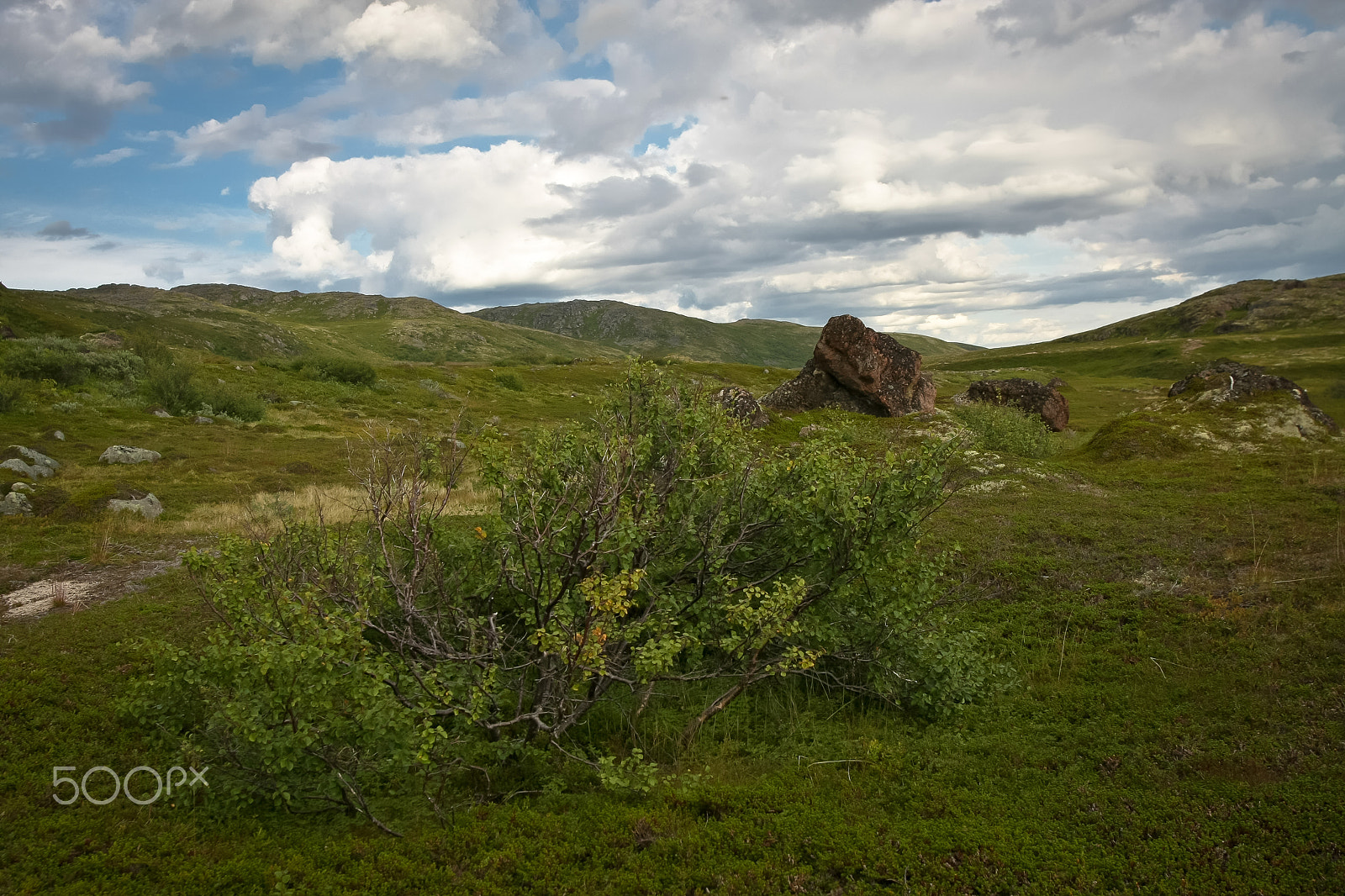 Canon EOS 40D + Sigma 20mm EX f/1.8 sample photo. Териберский полуостров: Тундра photography