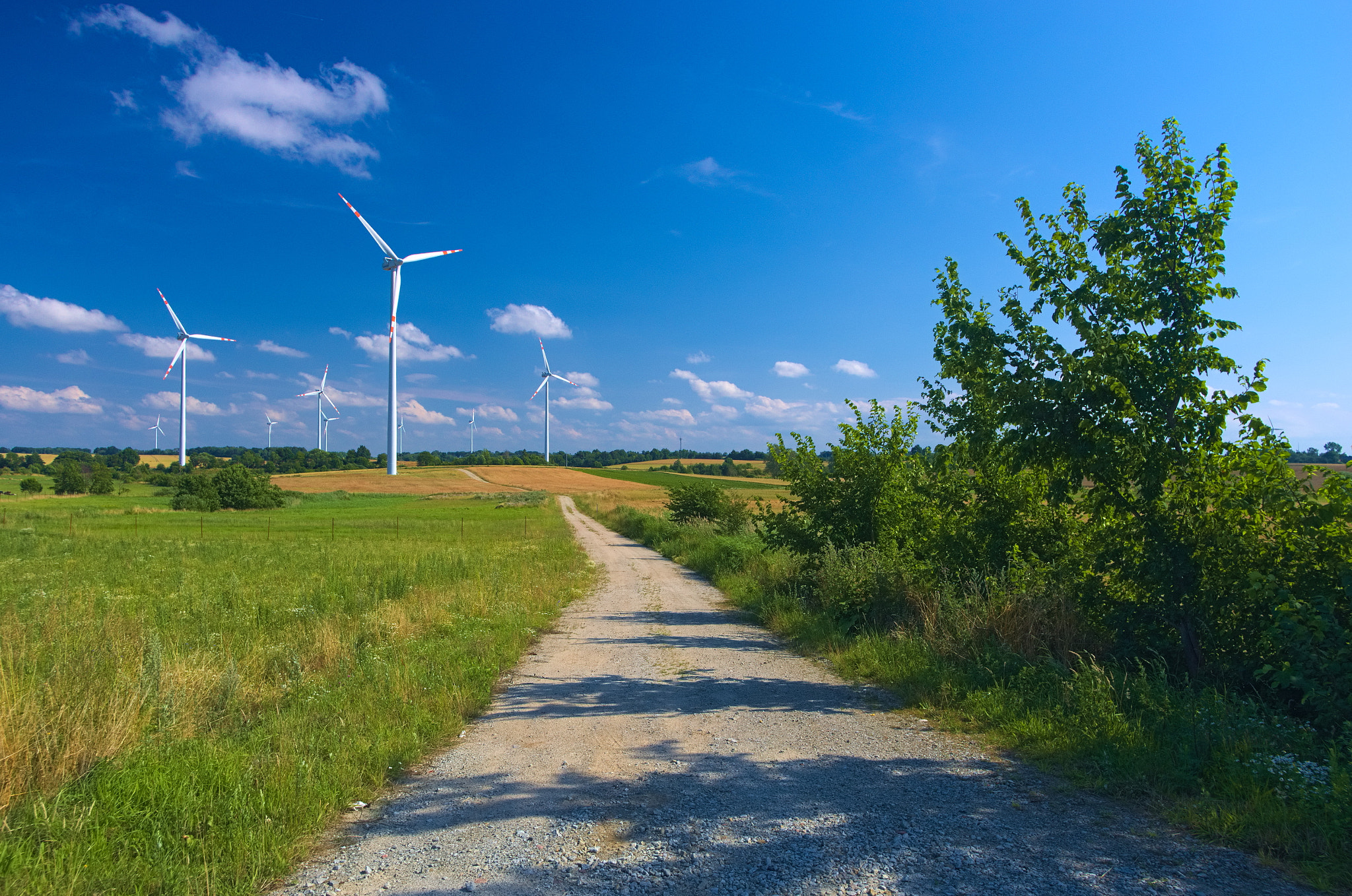 Pentax smc DA 15mm F4 ED AL Limited sample photo. Wind turbine farm near złakowo photography