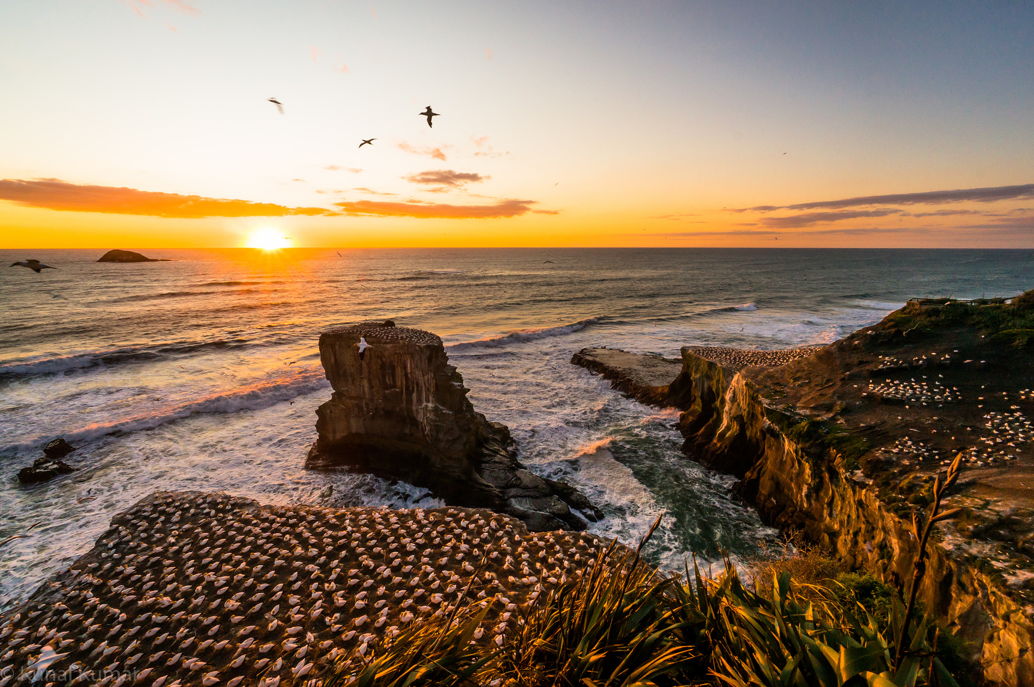 Sony Alpha NEX-5R + Sony E 10-18mm F4 OSS sample photo. Muriwai beach photography