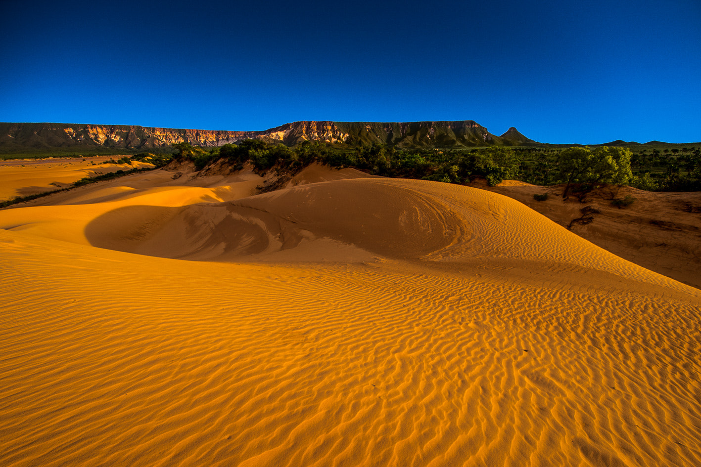 Nikon AF DX Fisheye-Nikkor 10.5mm F2.8G ED sample photo. Dune of japalao brasil photography