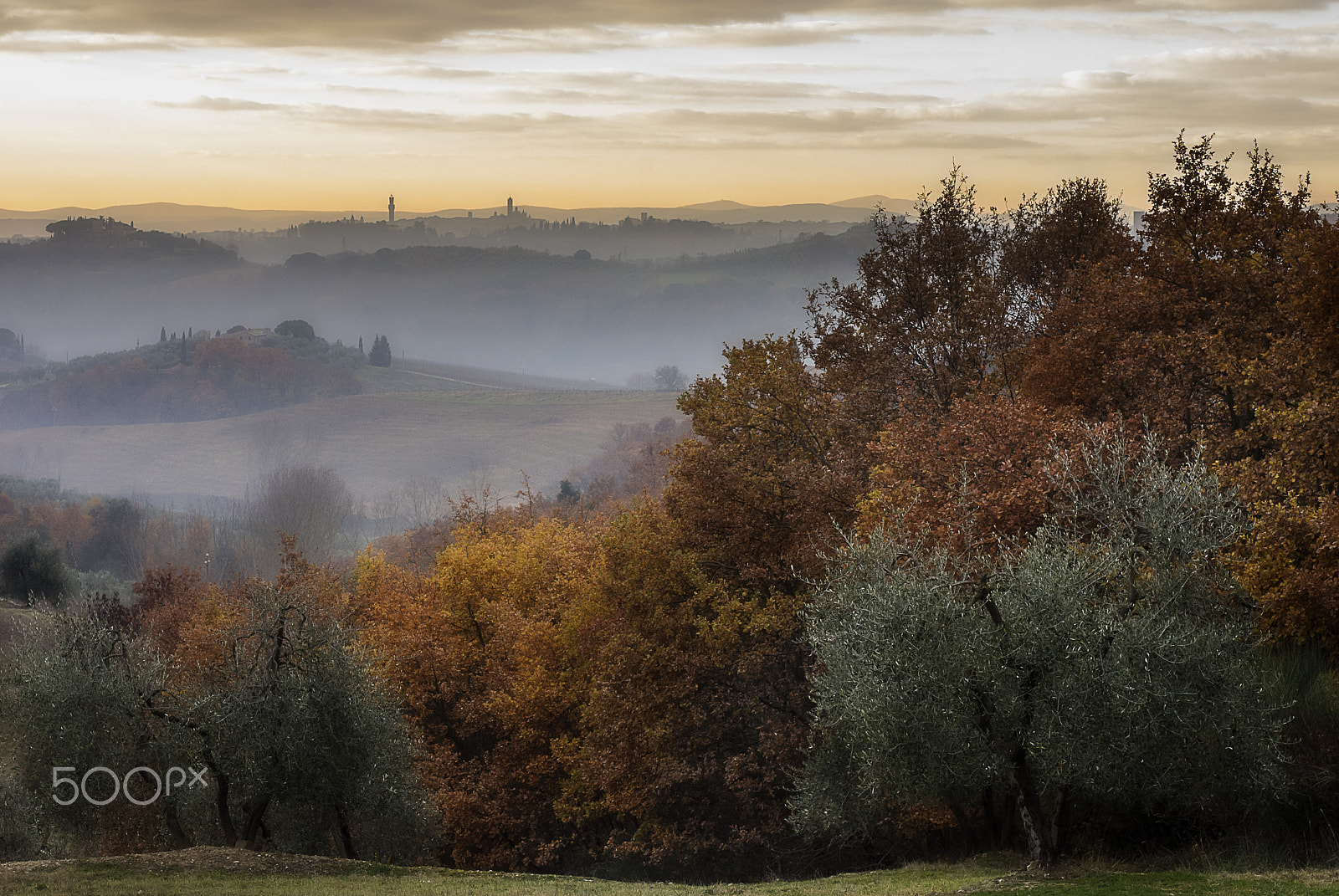 Nikon D7200 + AF Micro-Nikkor 60mm f/2.8 sample photo. Siena in a soft misty morning. photography