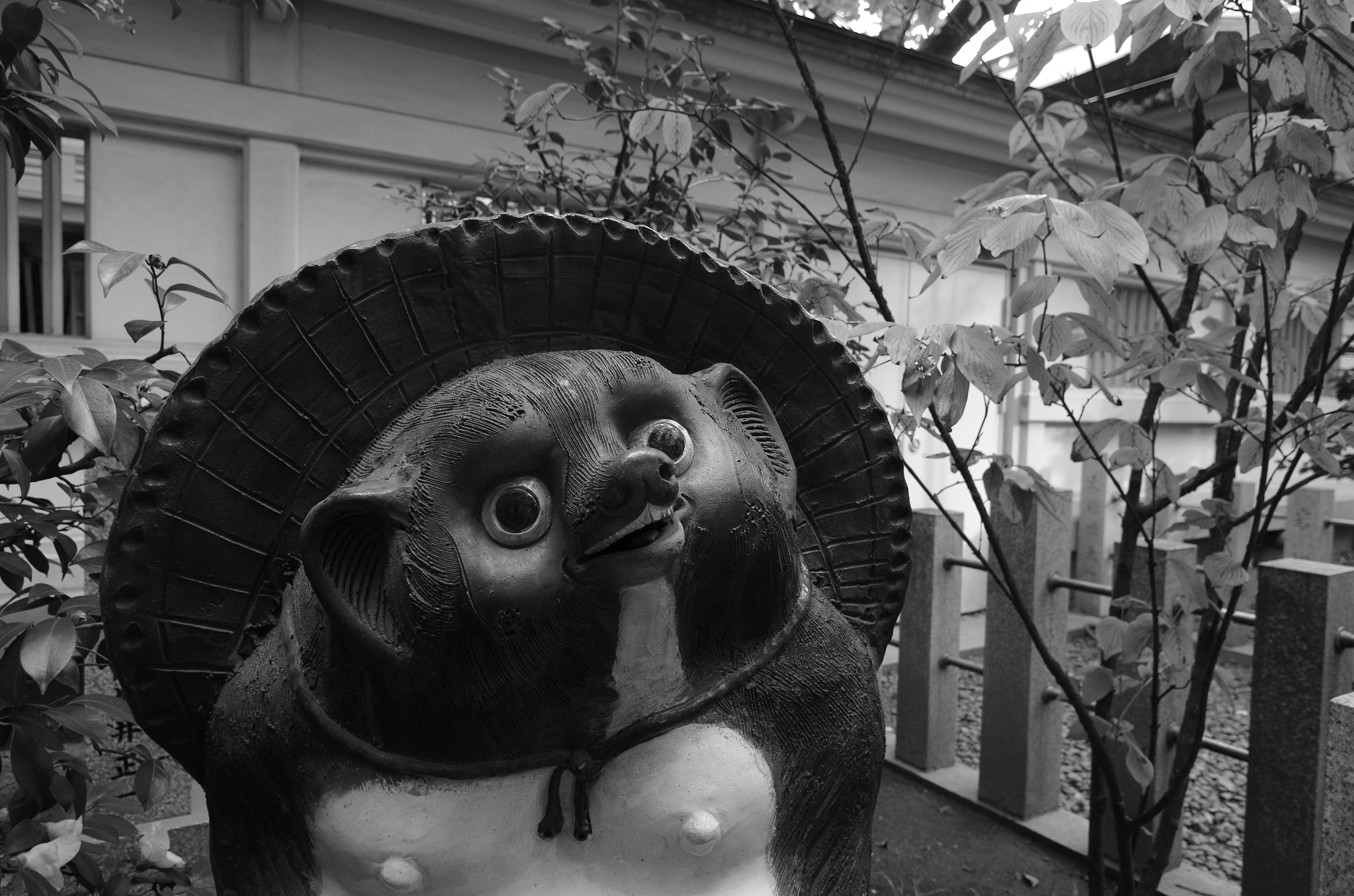 Pentax K-01 sample photo. All right, i hear it. photography