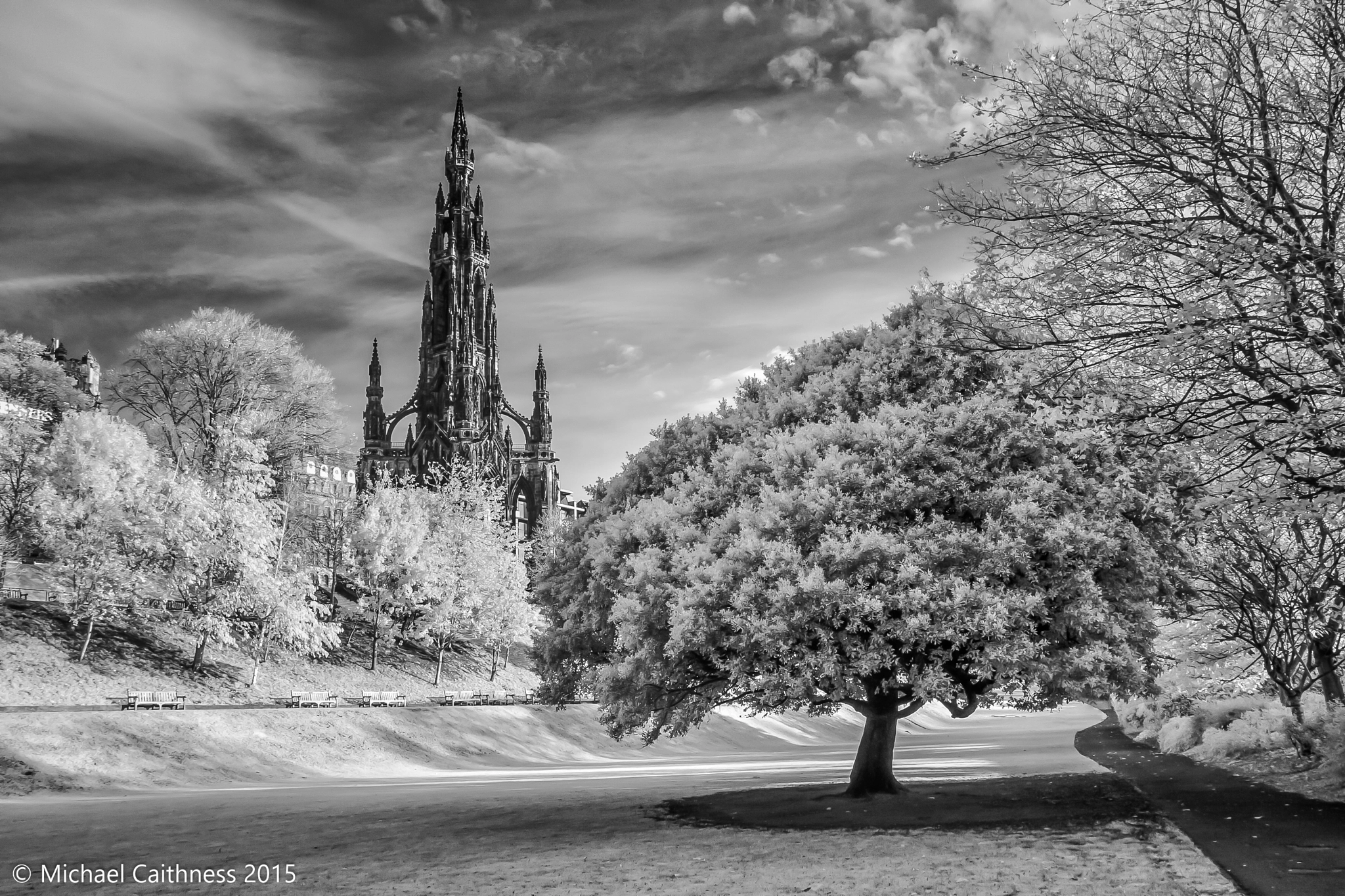 Canon EOS-1D Mark II sample photo. Princes street gardens photography